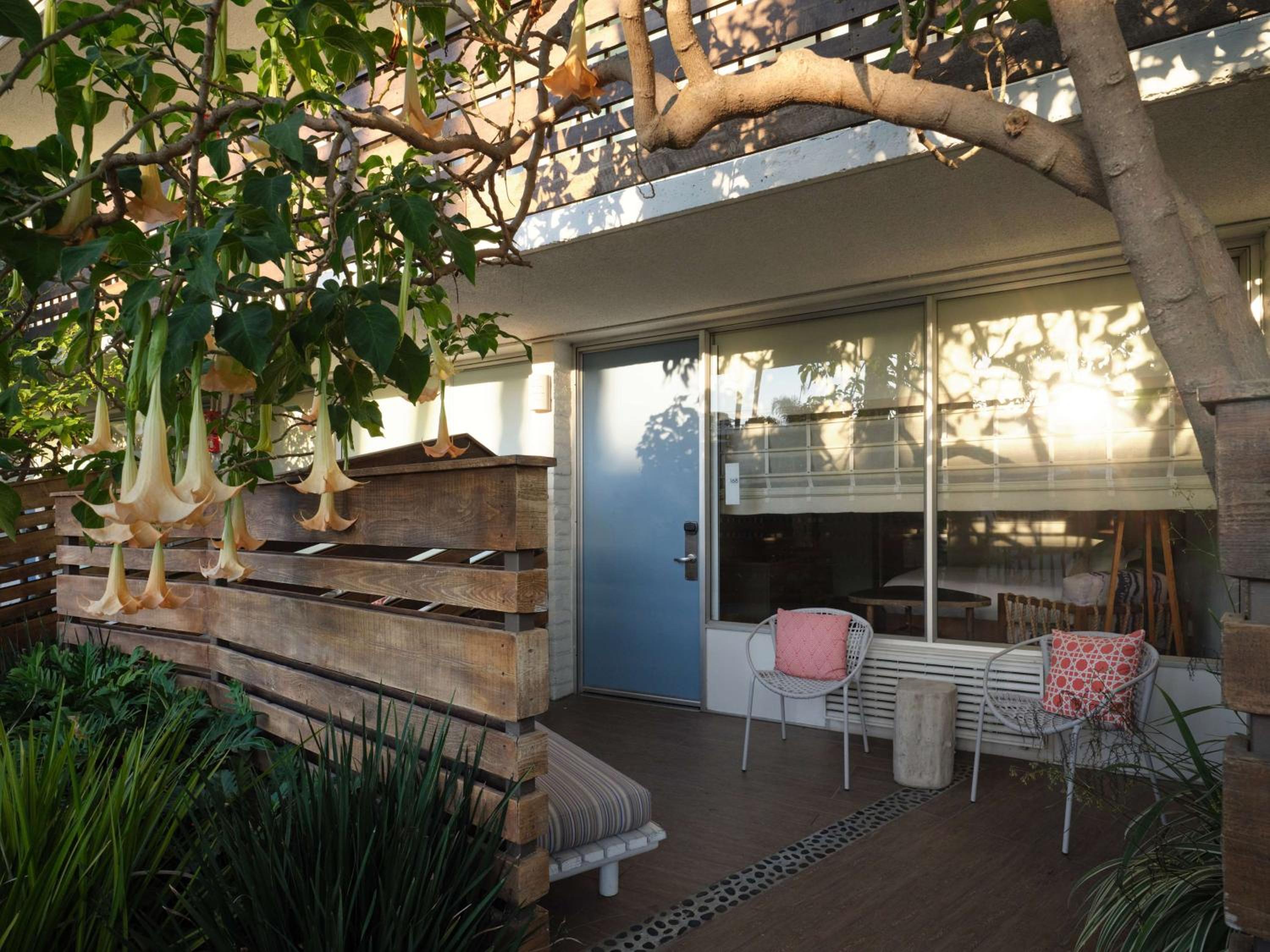 King Room with Patio - Photo 6