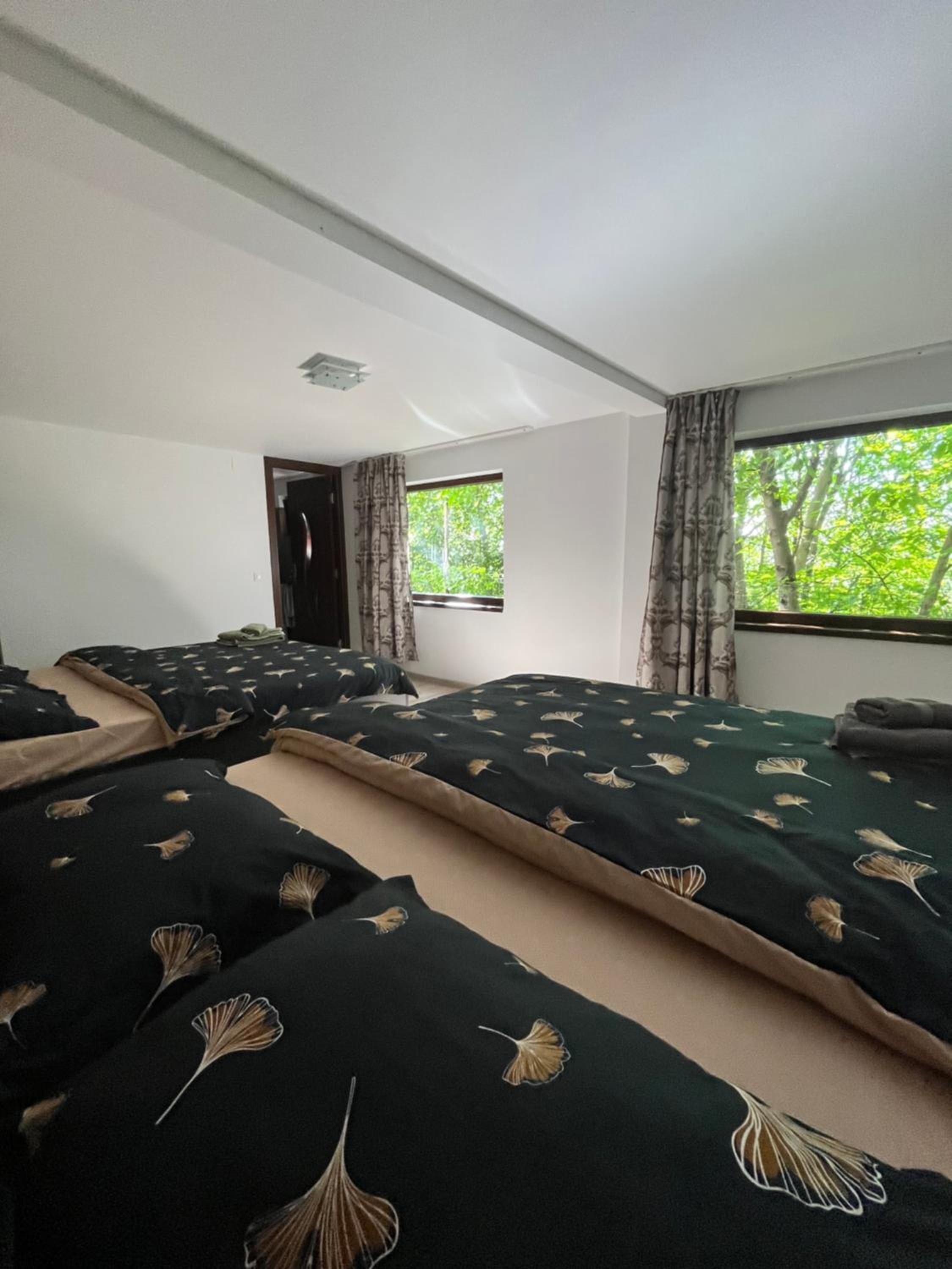 Deluxe Family Room photo 2