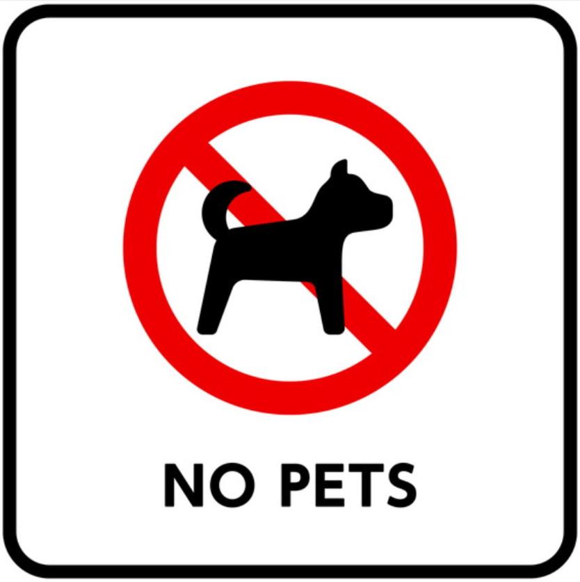 Economy Twin Room - No pets allowed - Photo 2