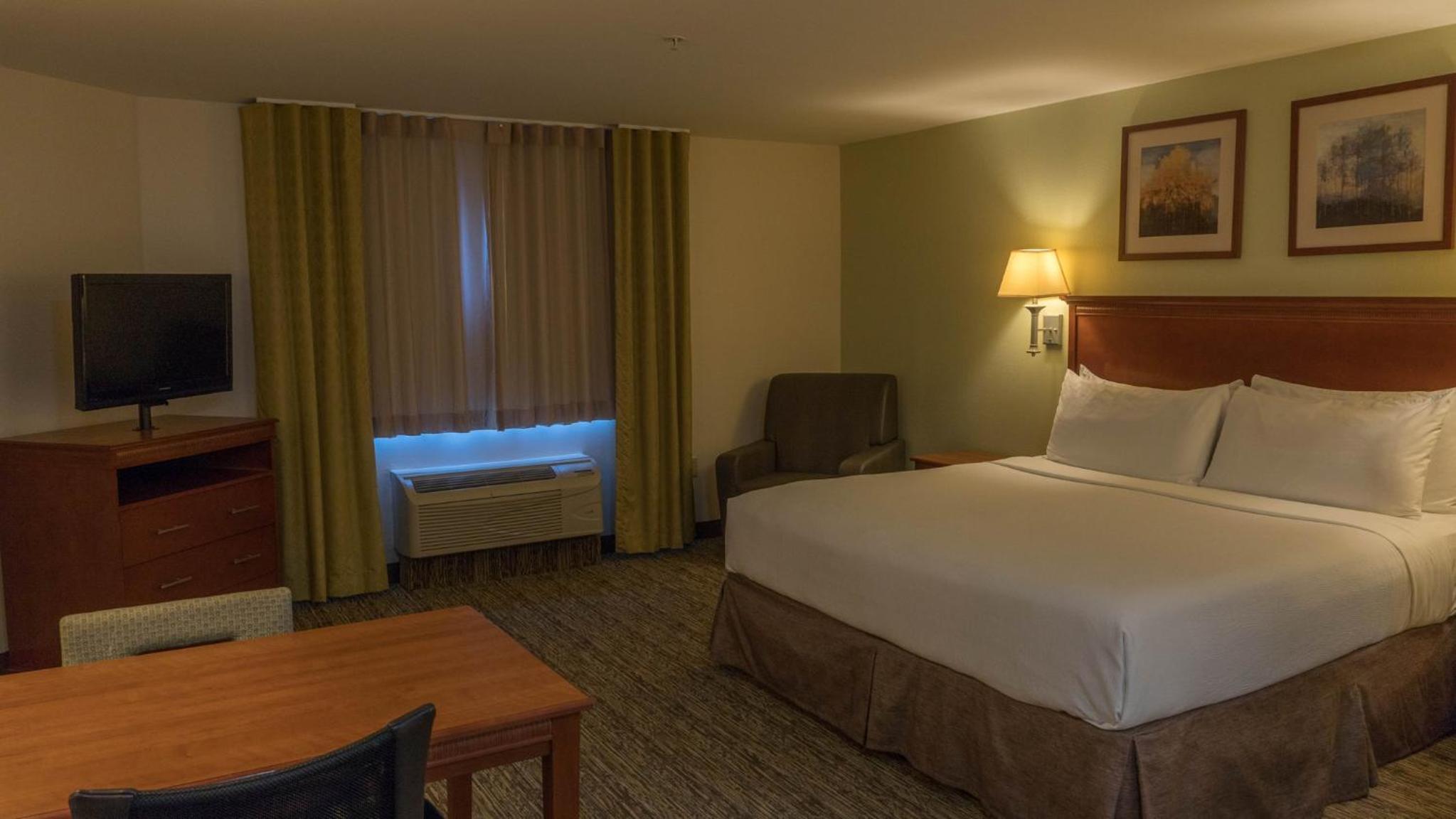 King Studio Suite - Photo 1