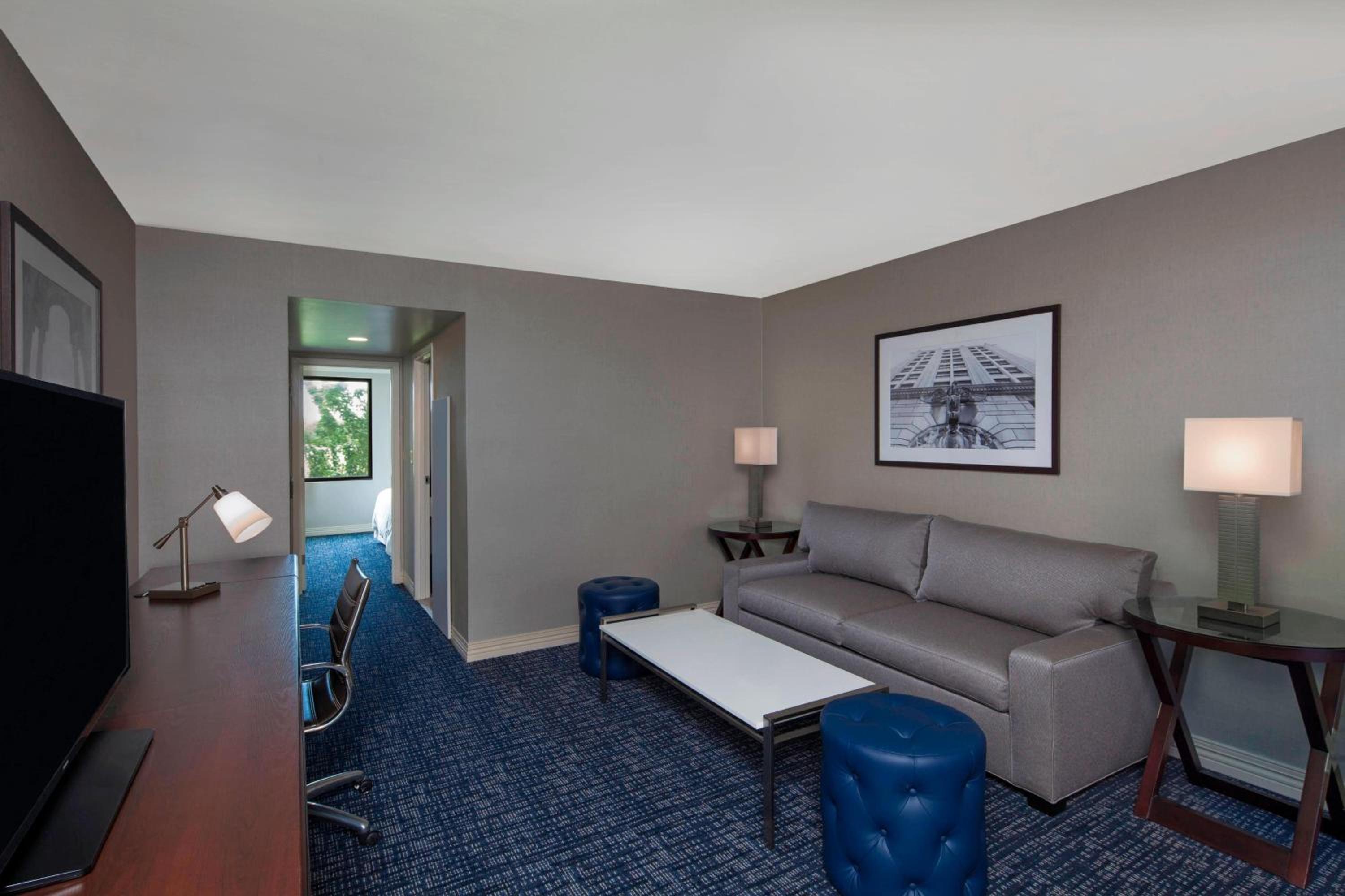 One-Bedroom Suite - Photo 6