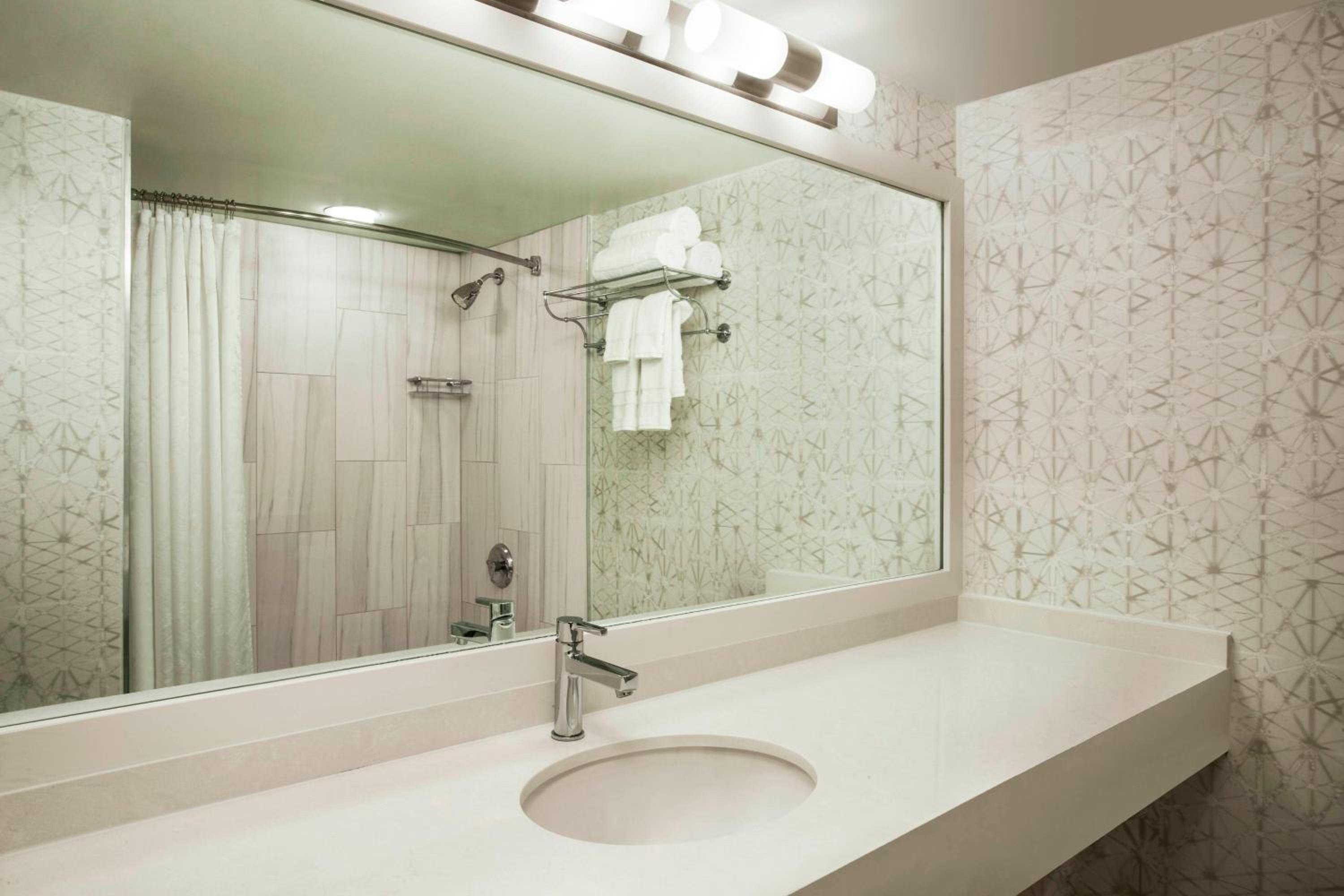 One-Bedroom Suite - Photo 4