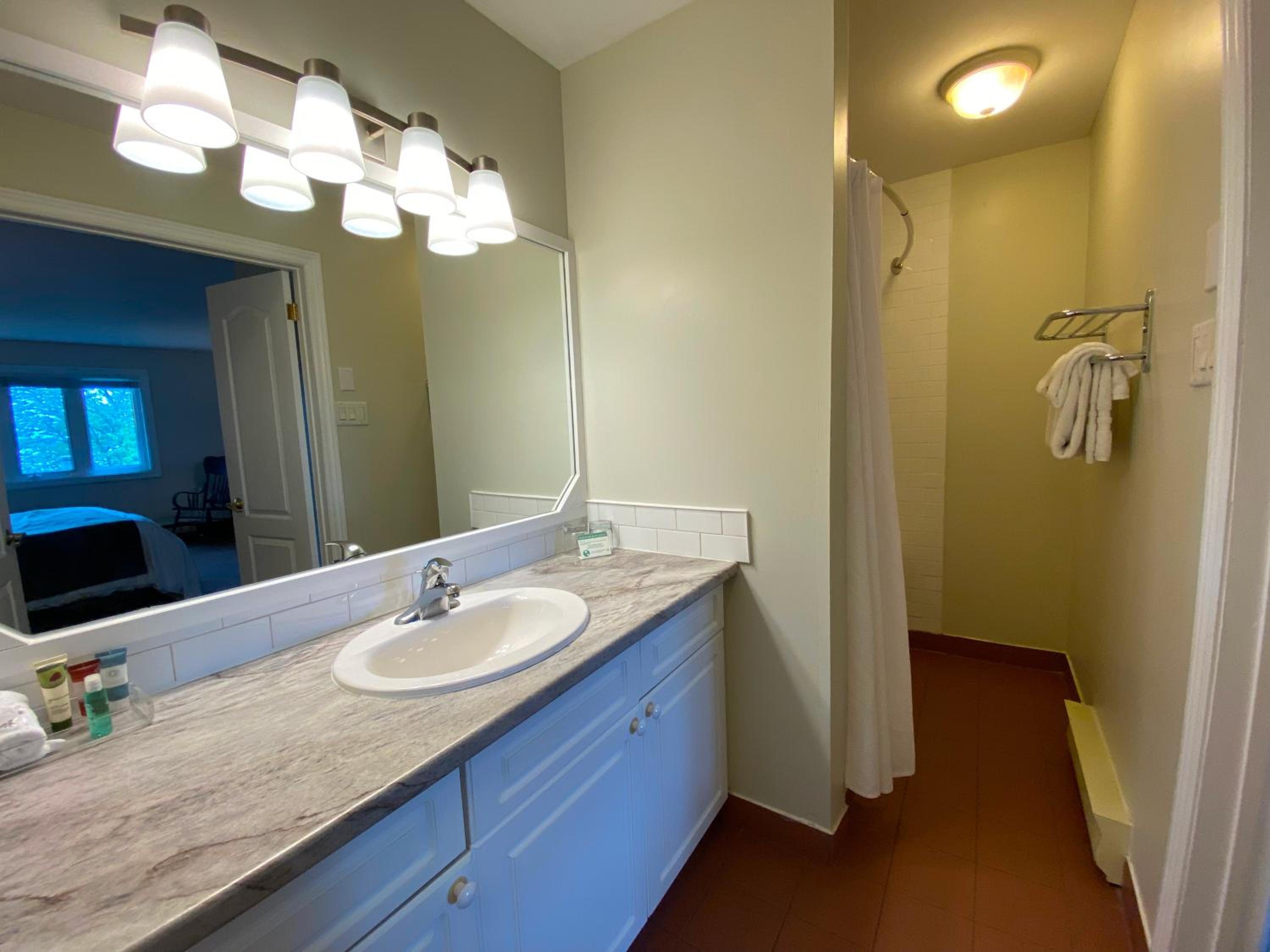 Premium One-Bedroom Suite - Photo 6