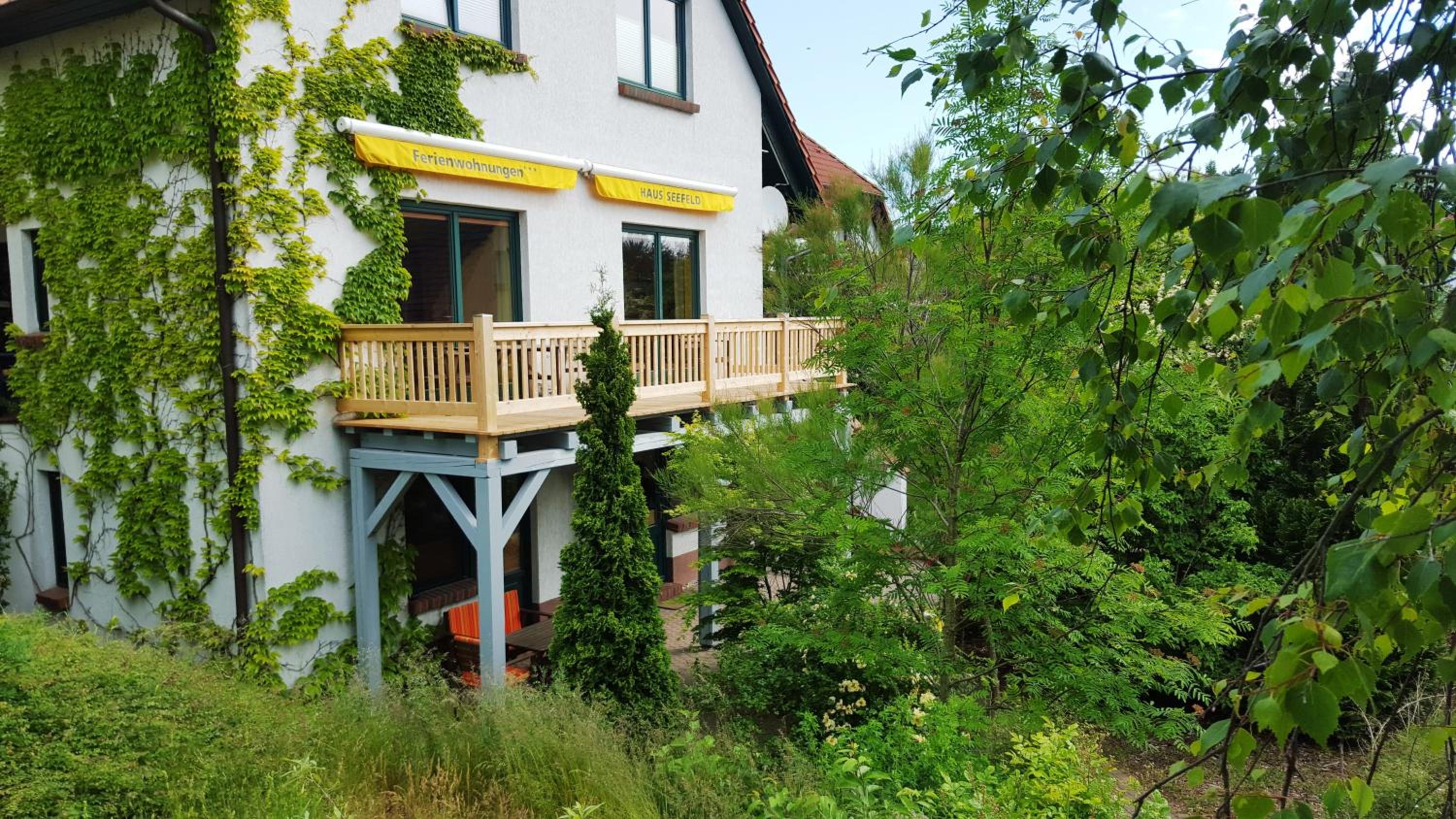 Apartment with Terrace photo 2