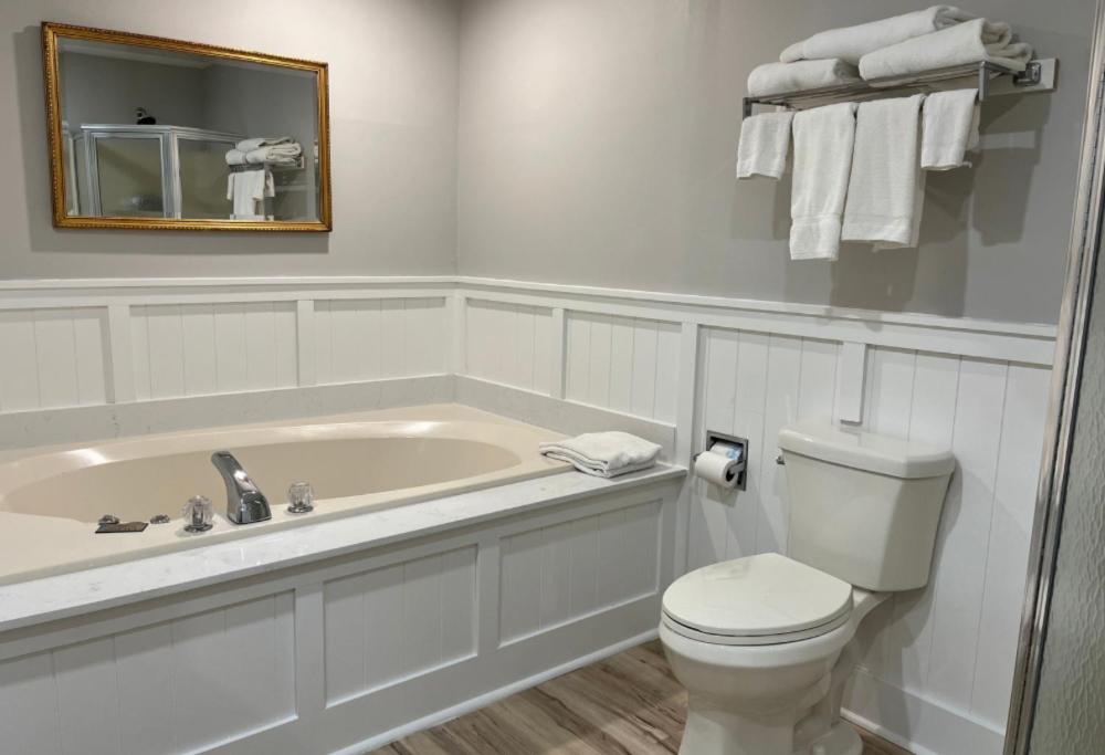 Deluxe Suite with Spa Bath - Photo 3