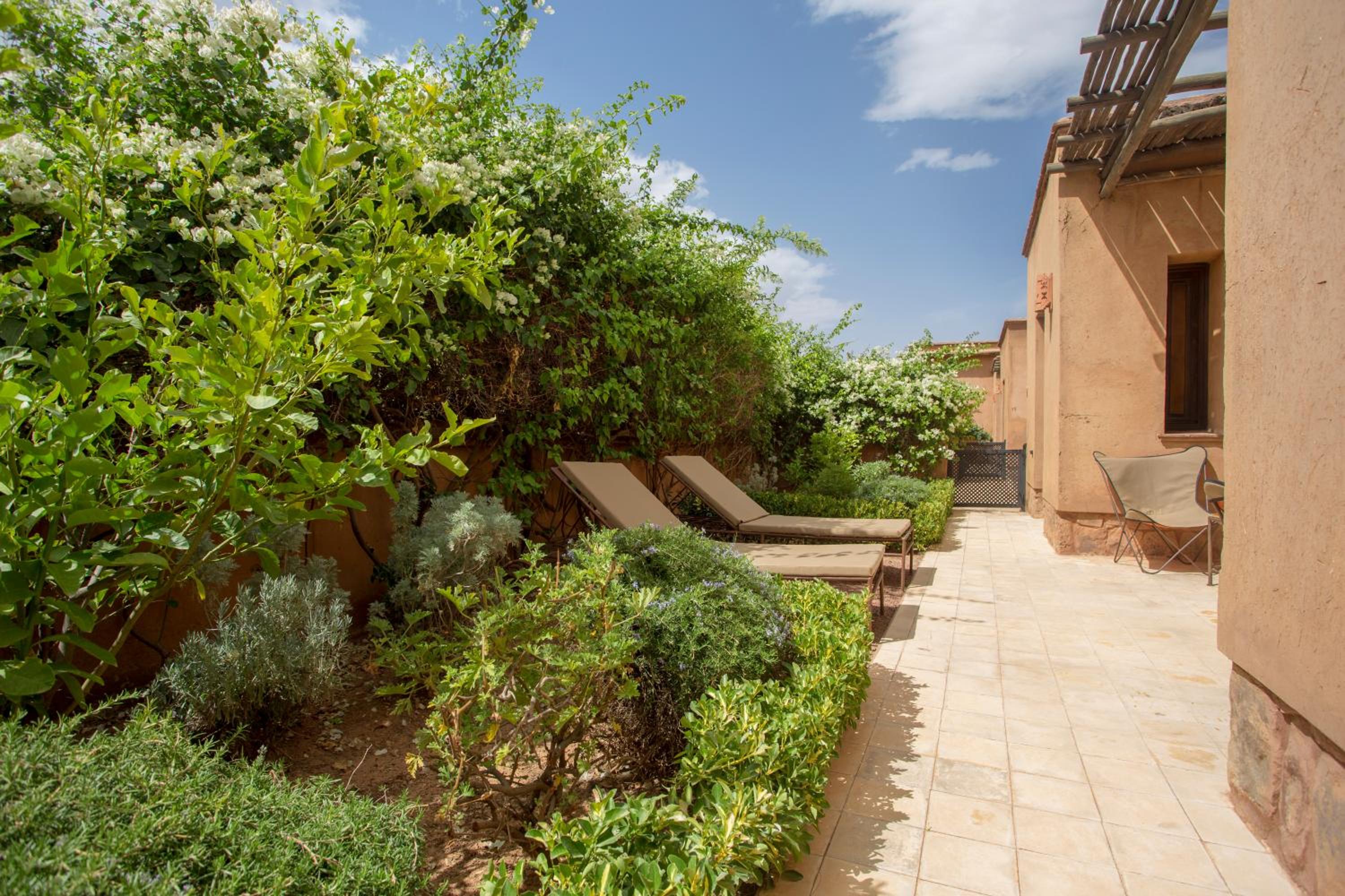 ECOLODGE SUITE - Photo 15