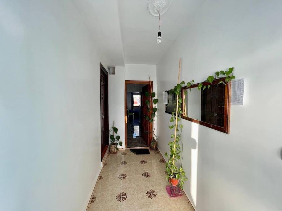 Two-Bedroom Apartment photo 3