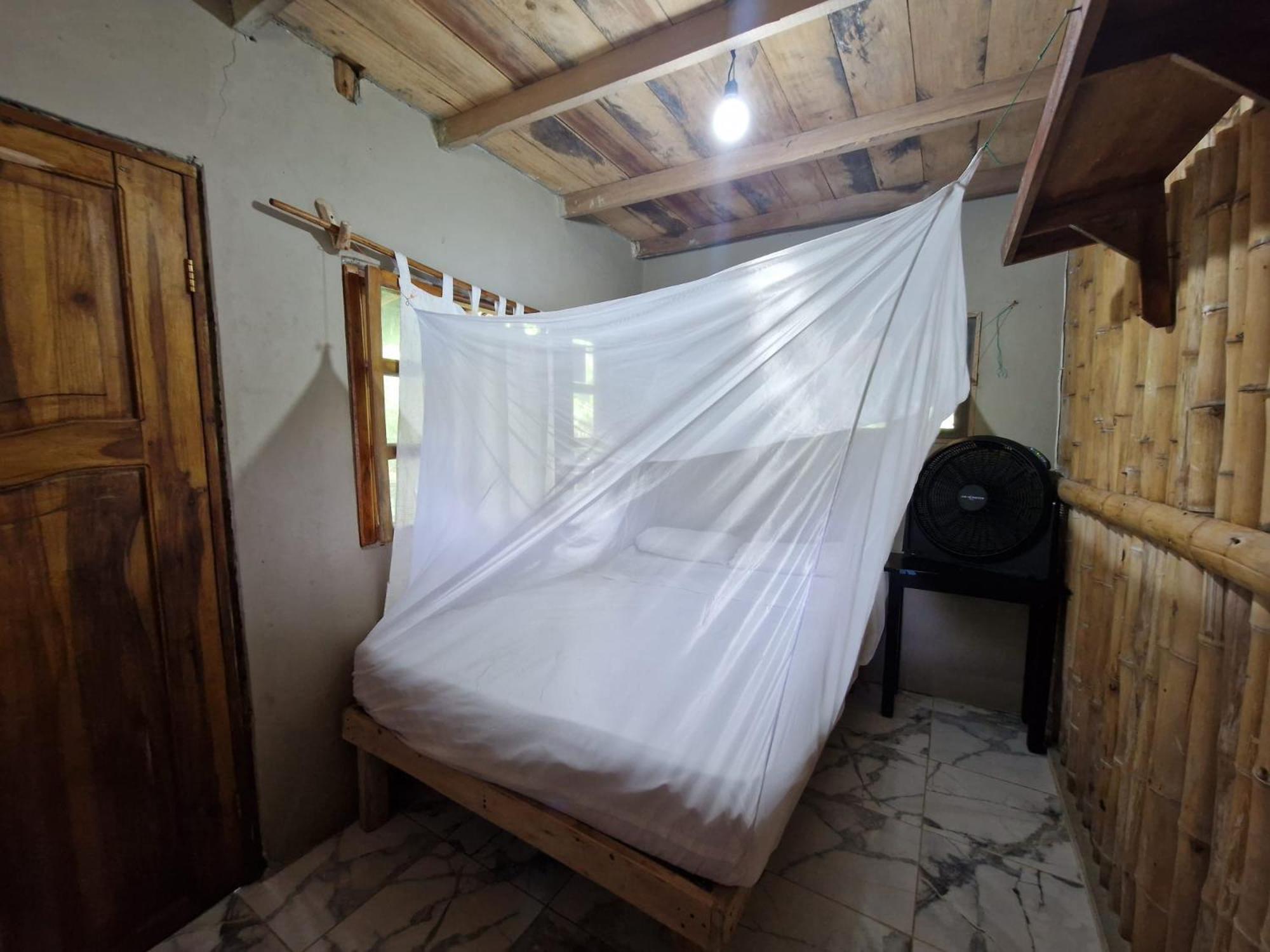 Double Room with Park View