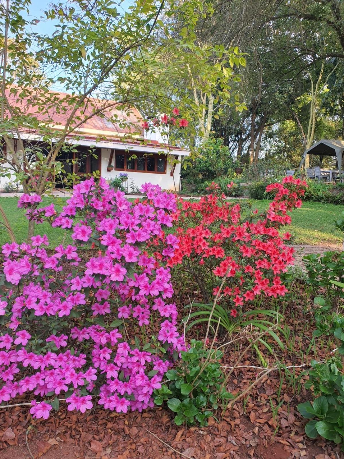 Bungalow - Photo 3