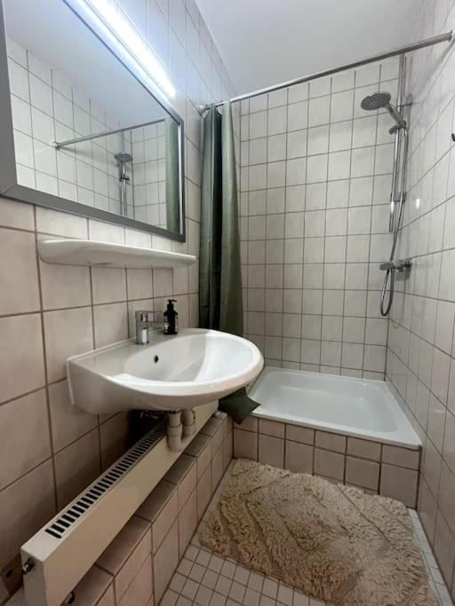 One-Bedroom Apartment photo 3