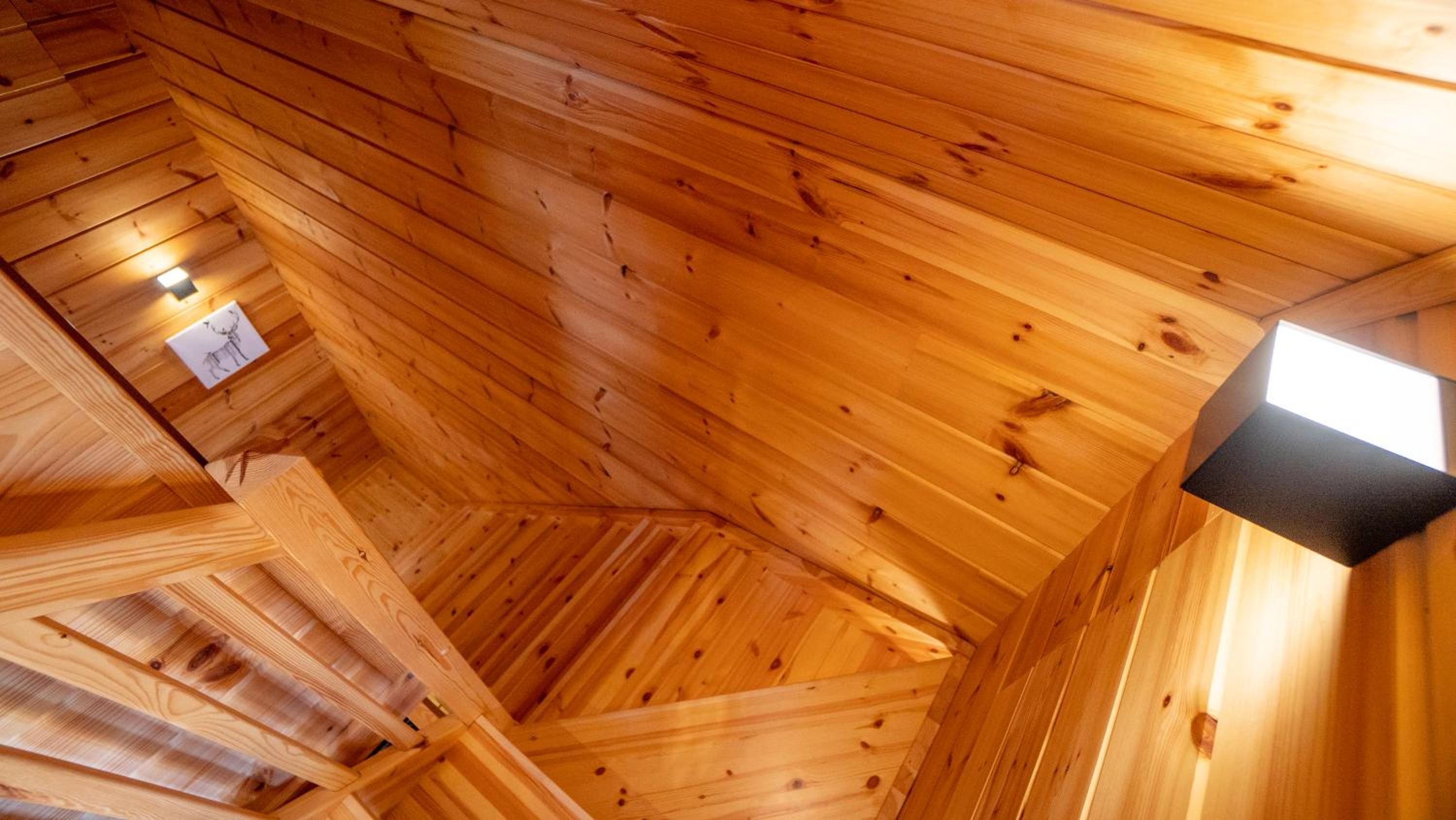 Three-Bedroom Chalet - Photo 19