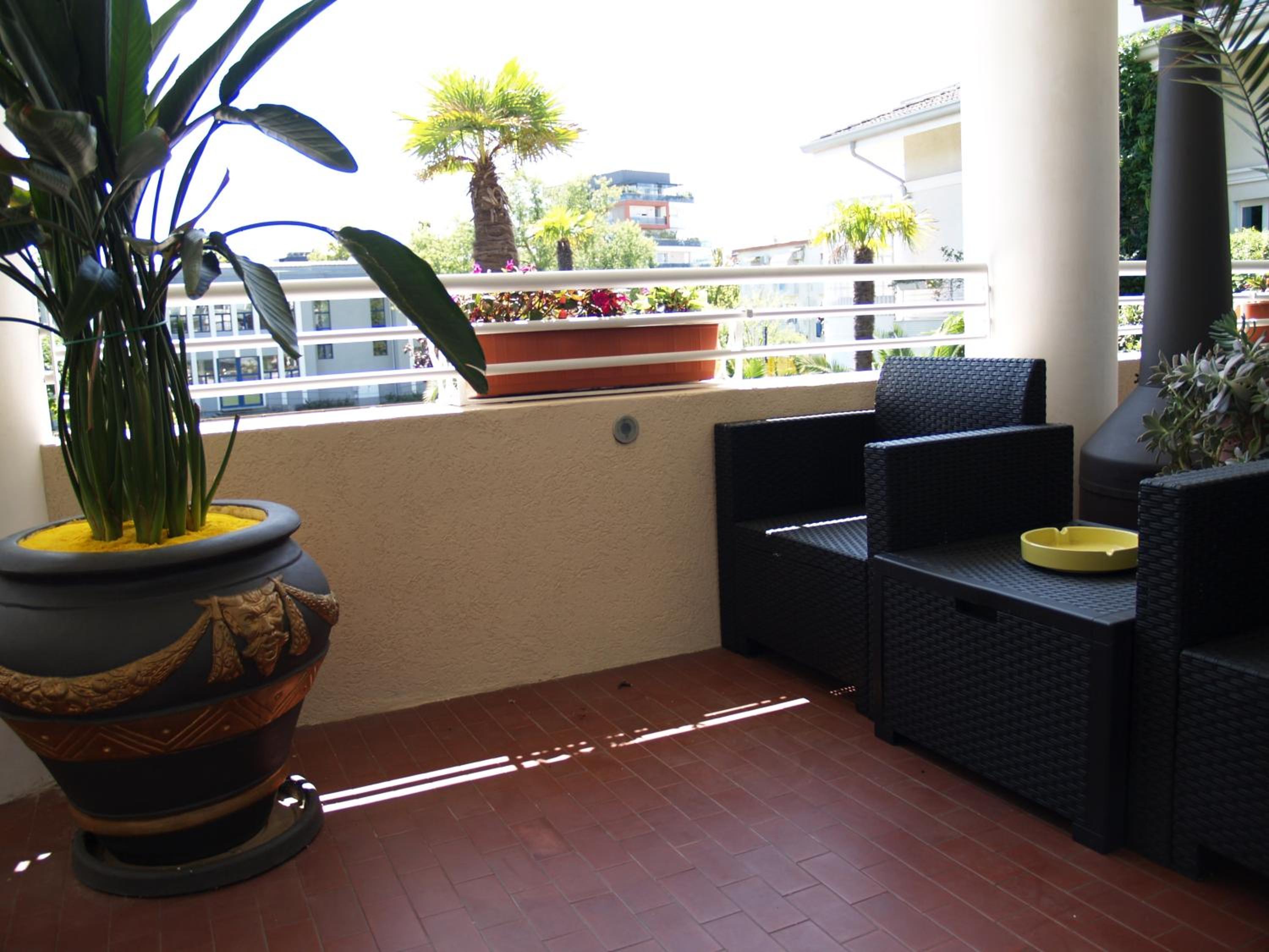 Apartment with Terrace photo 2