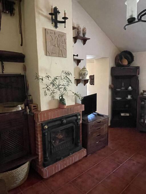 Three-Bedroom House photo 3