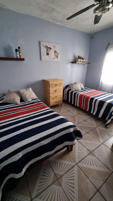 Two-Bedroom House photo 2