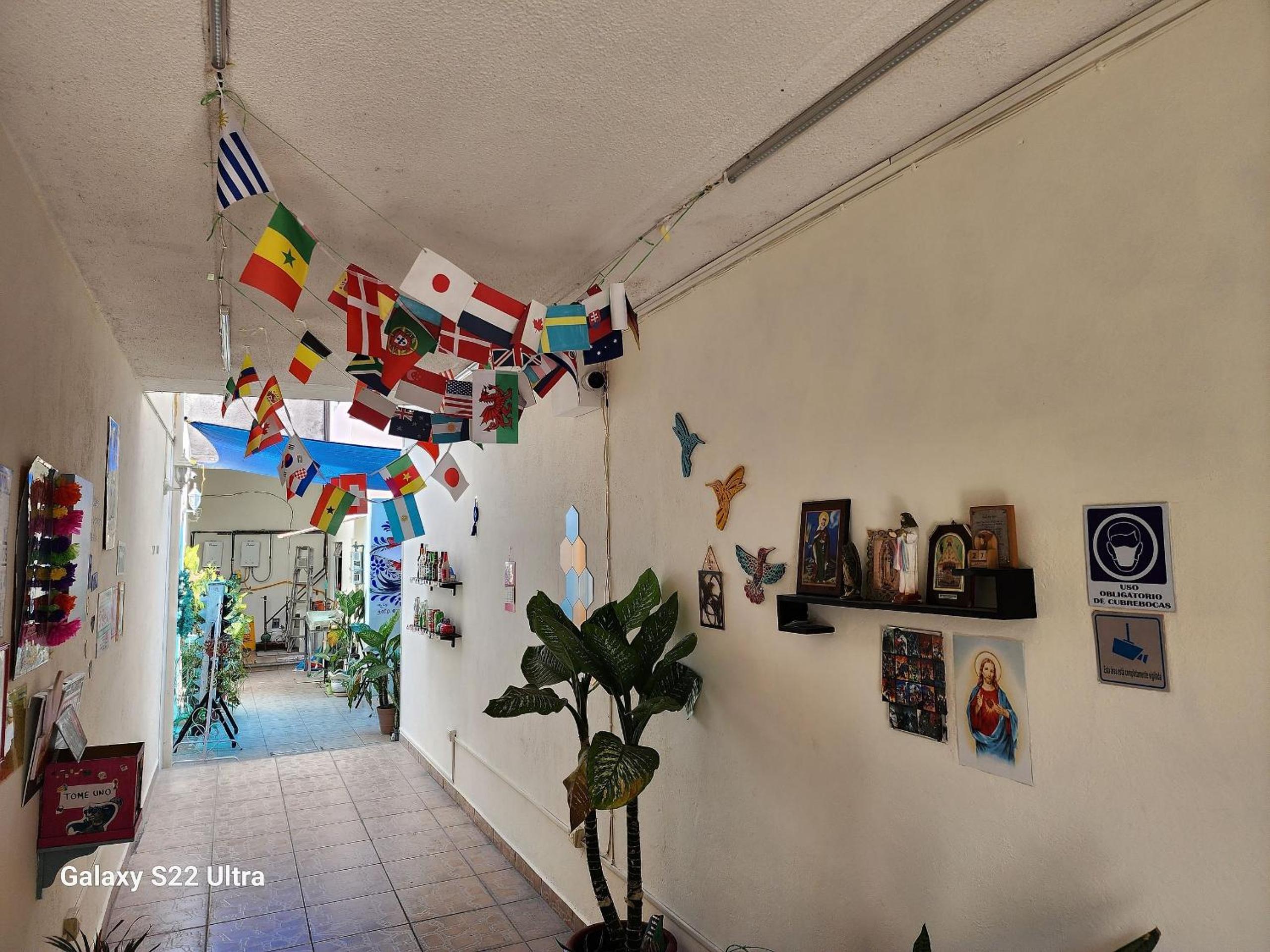 Twin Room - Photo 11