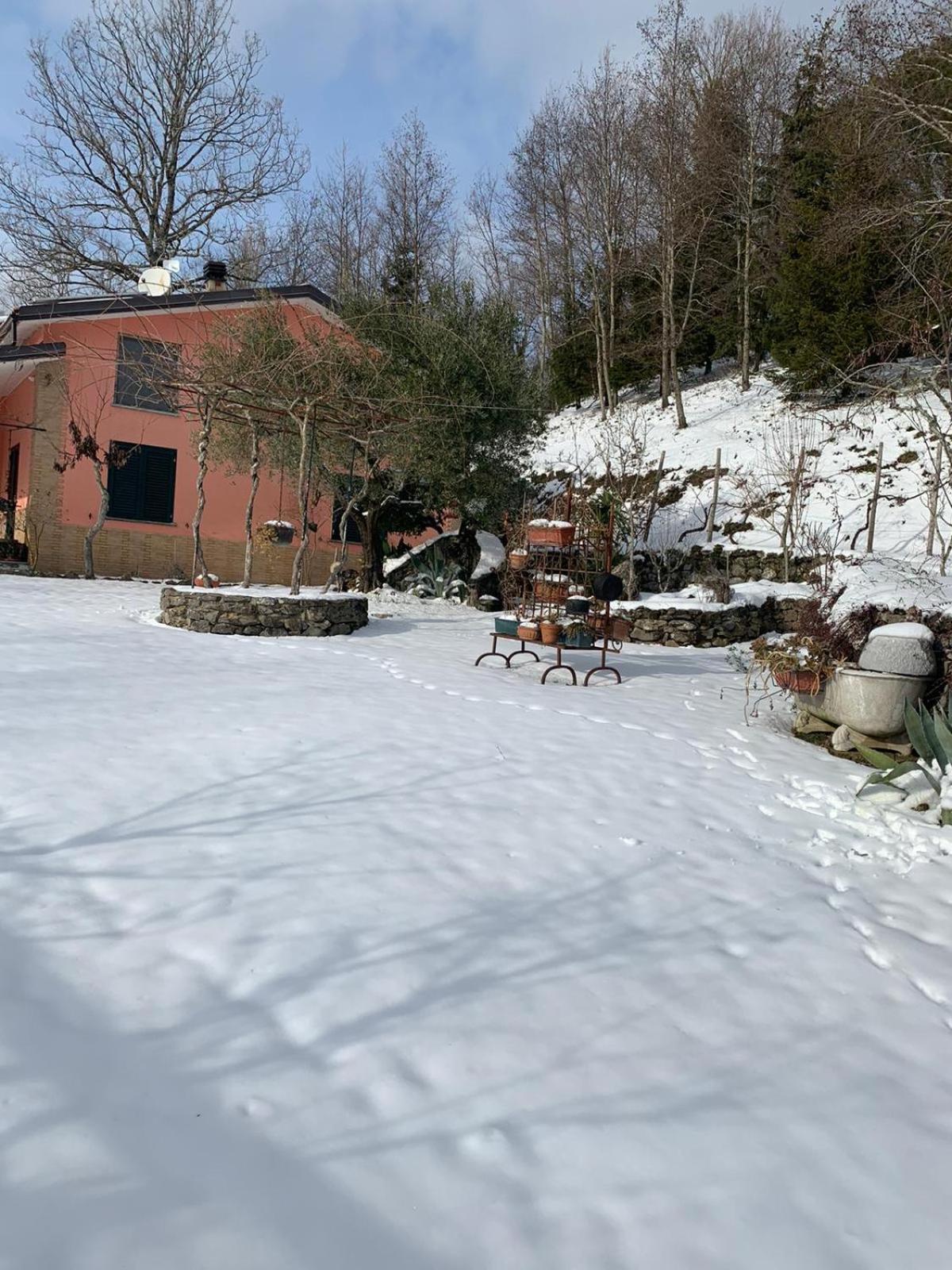 Vacation Home photo 3