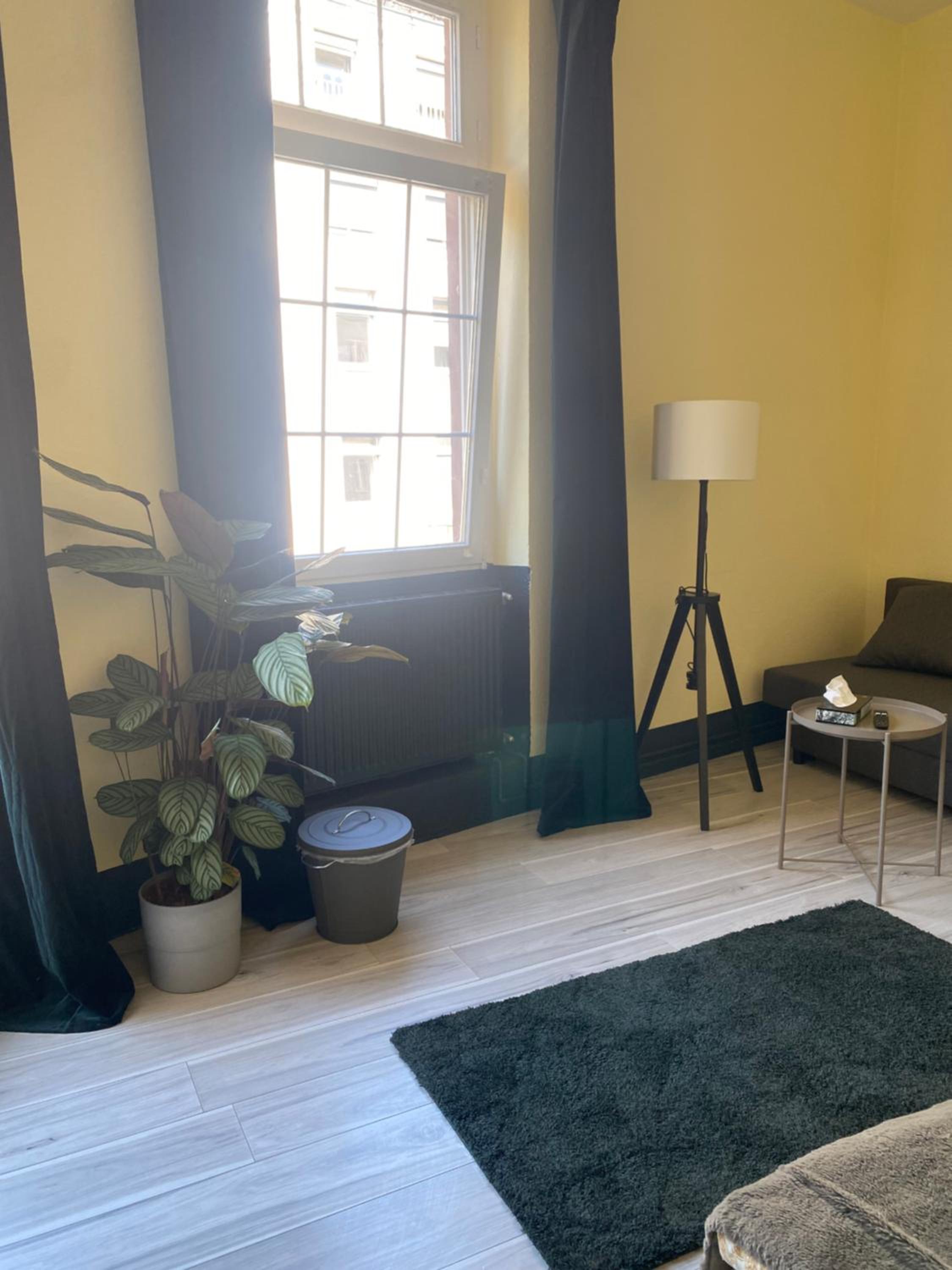 Apartment - Photo 8