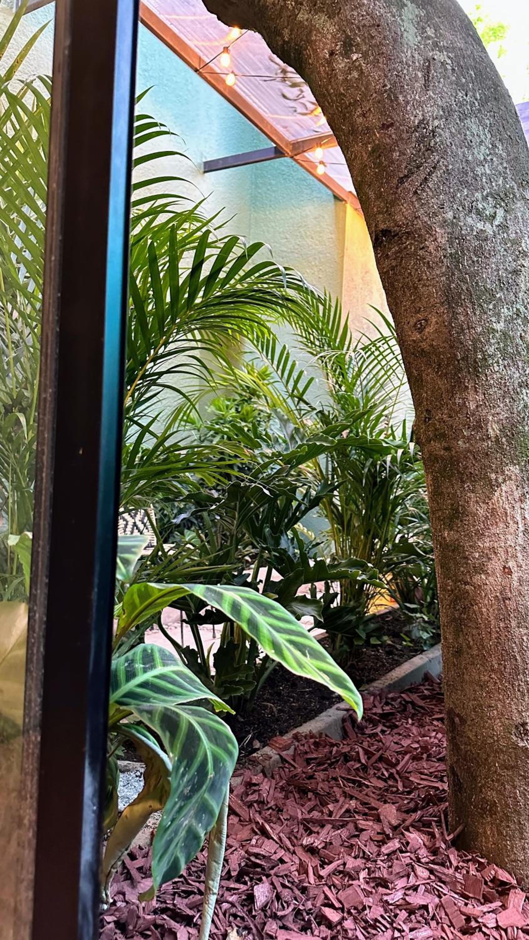Suite with Garden View photo 3