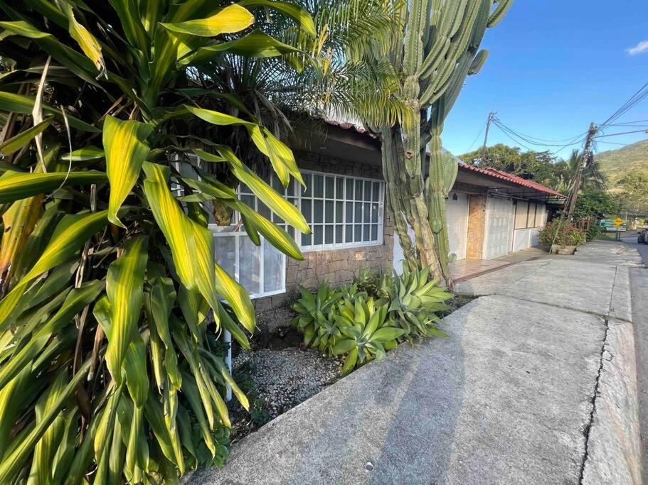 Three-Bedroom House photo 2