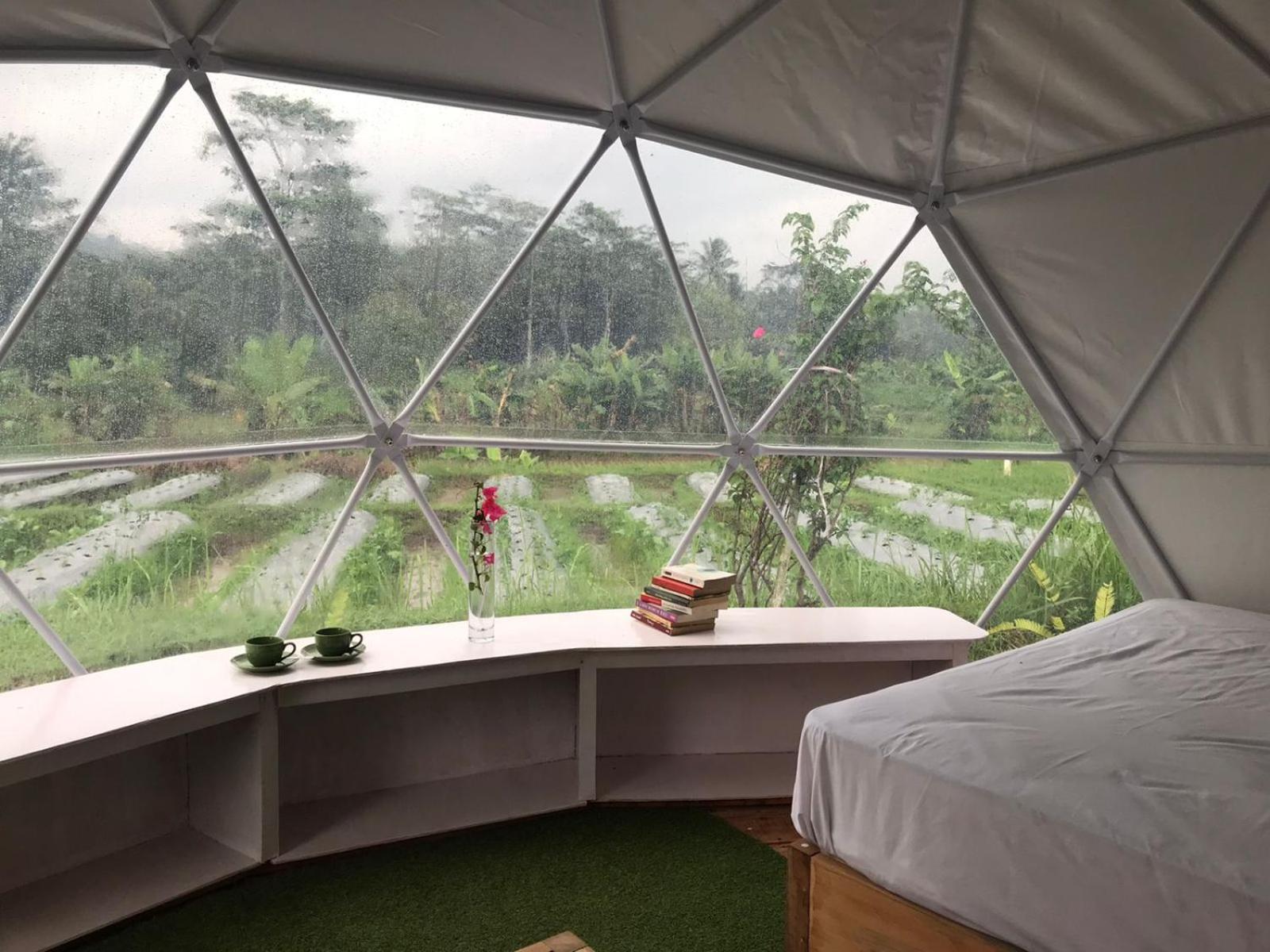 Family Dome Tent - Photo 11