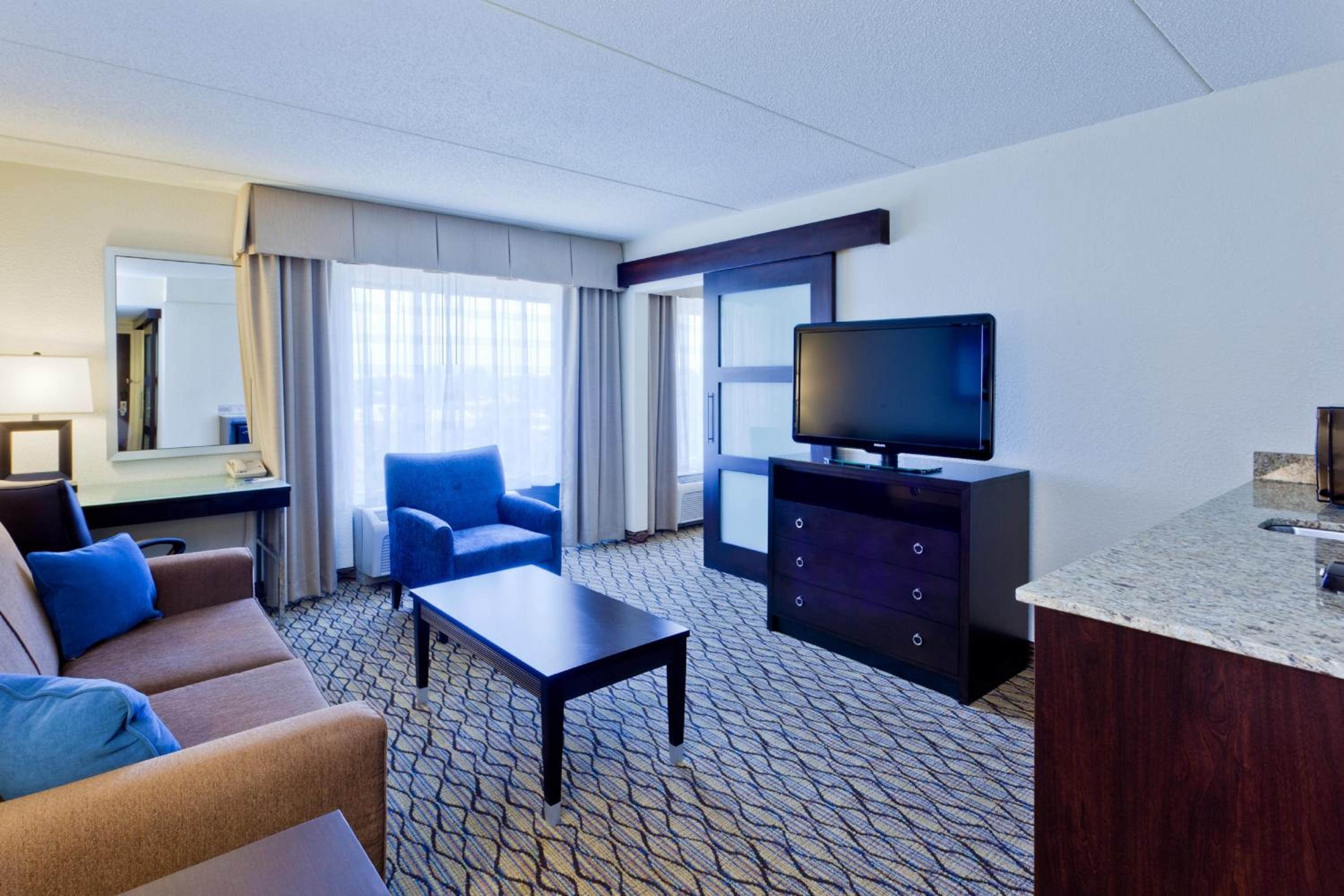 One-Bedroom Suite - Photo 6