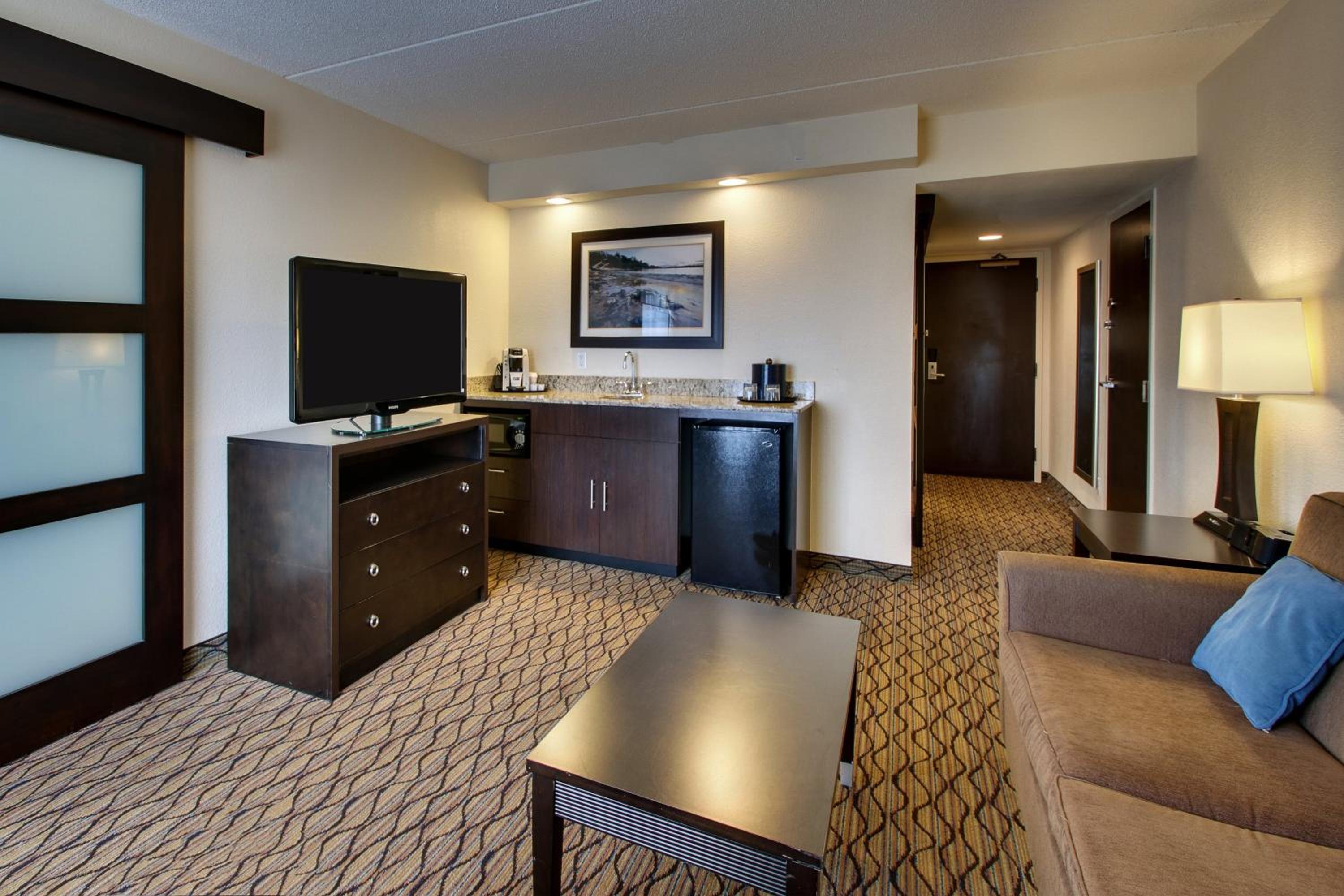 One-Bedroom Suite - Photo 1