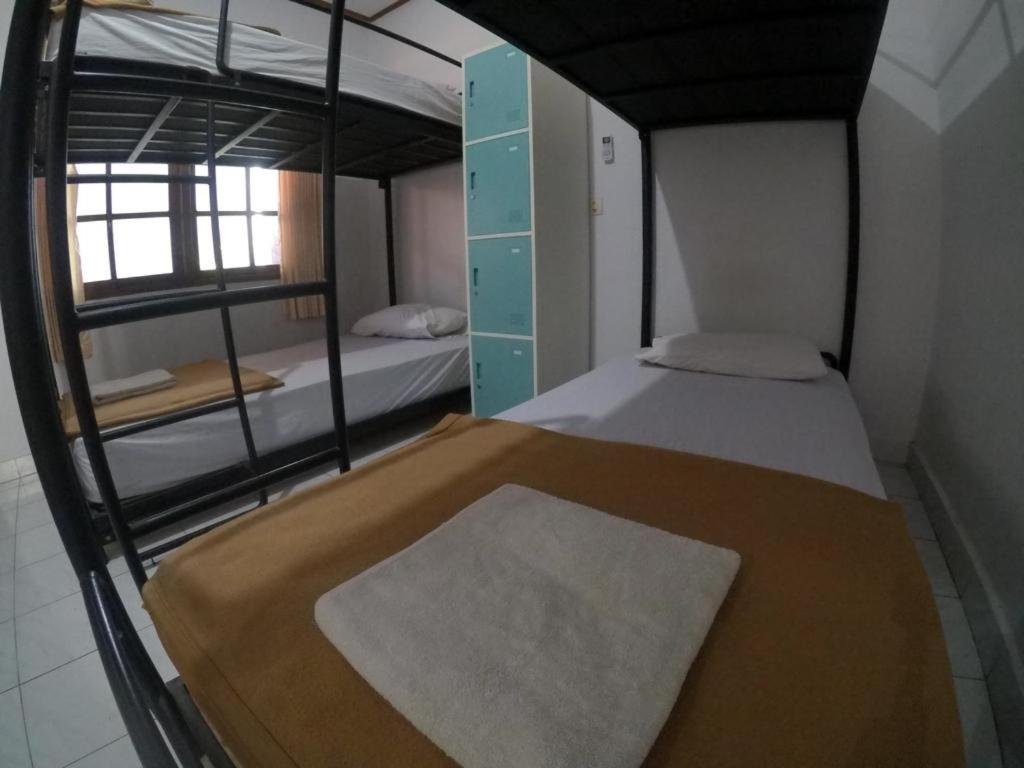 Single Bed in Female Dormitory Room photo 2