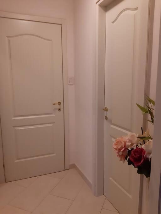 Two-Bedroom Apartment photo 3