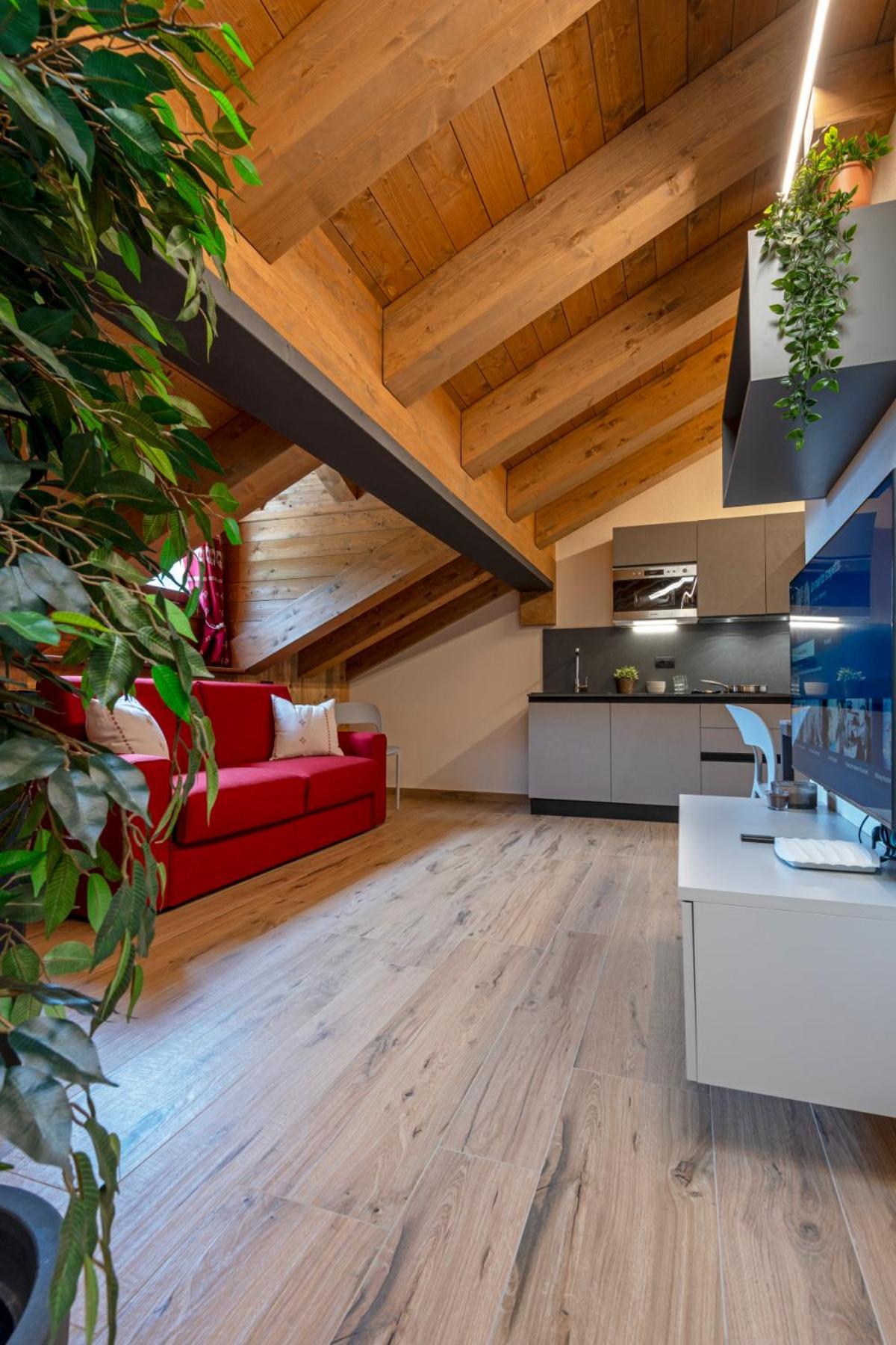 Studio Apartment photo 1
