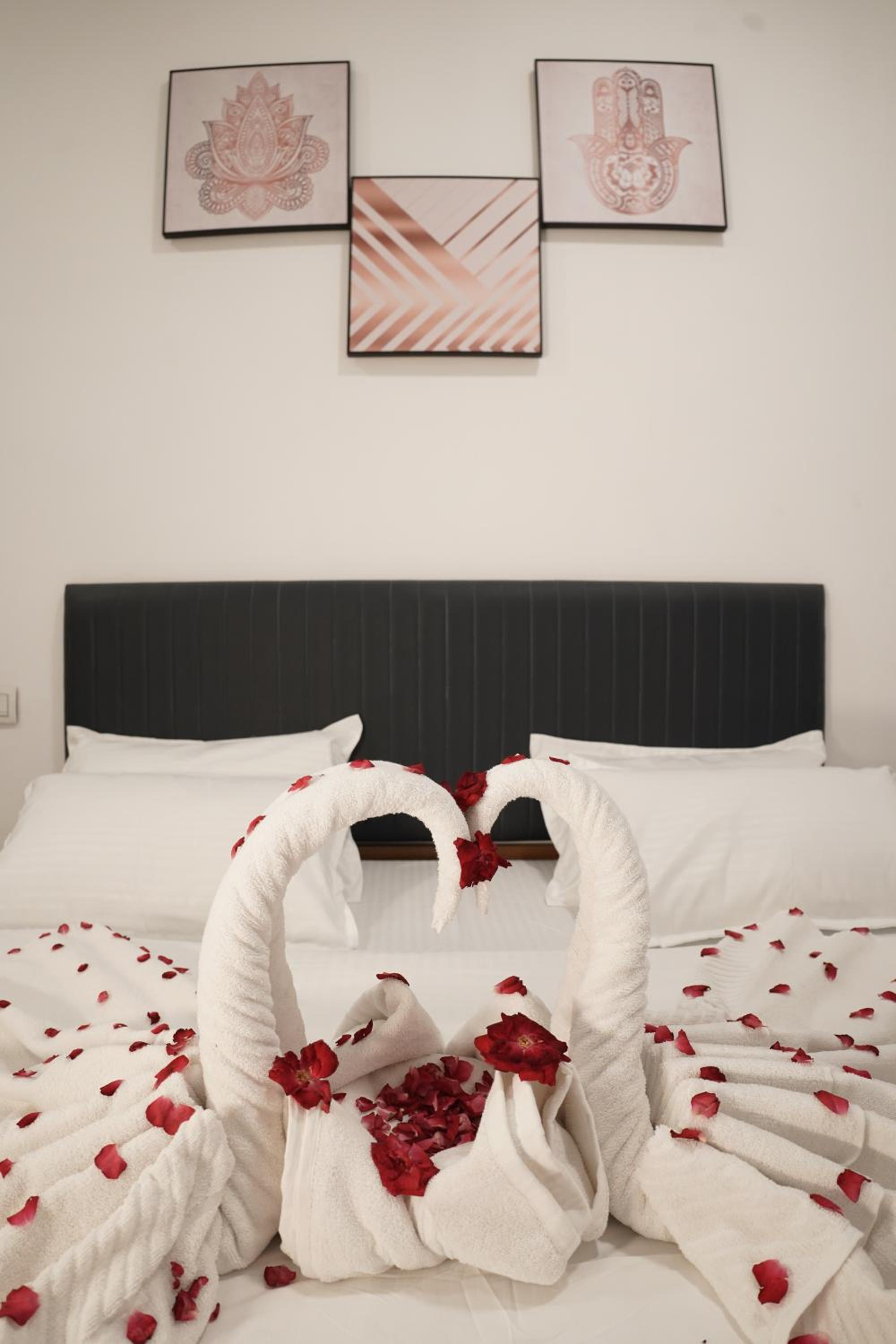 Deluxe Room - Photo 11