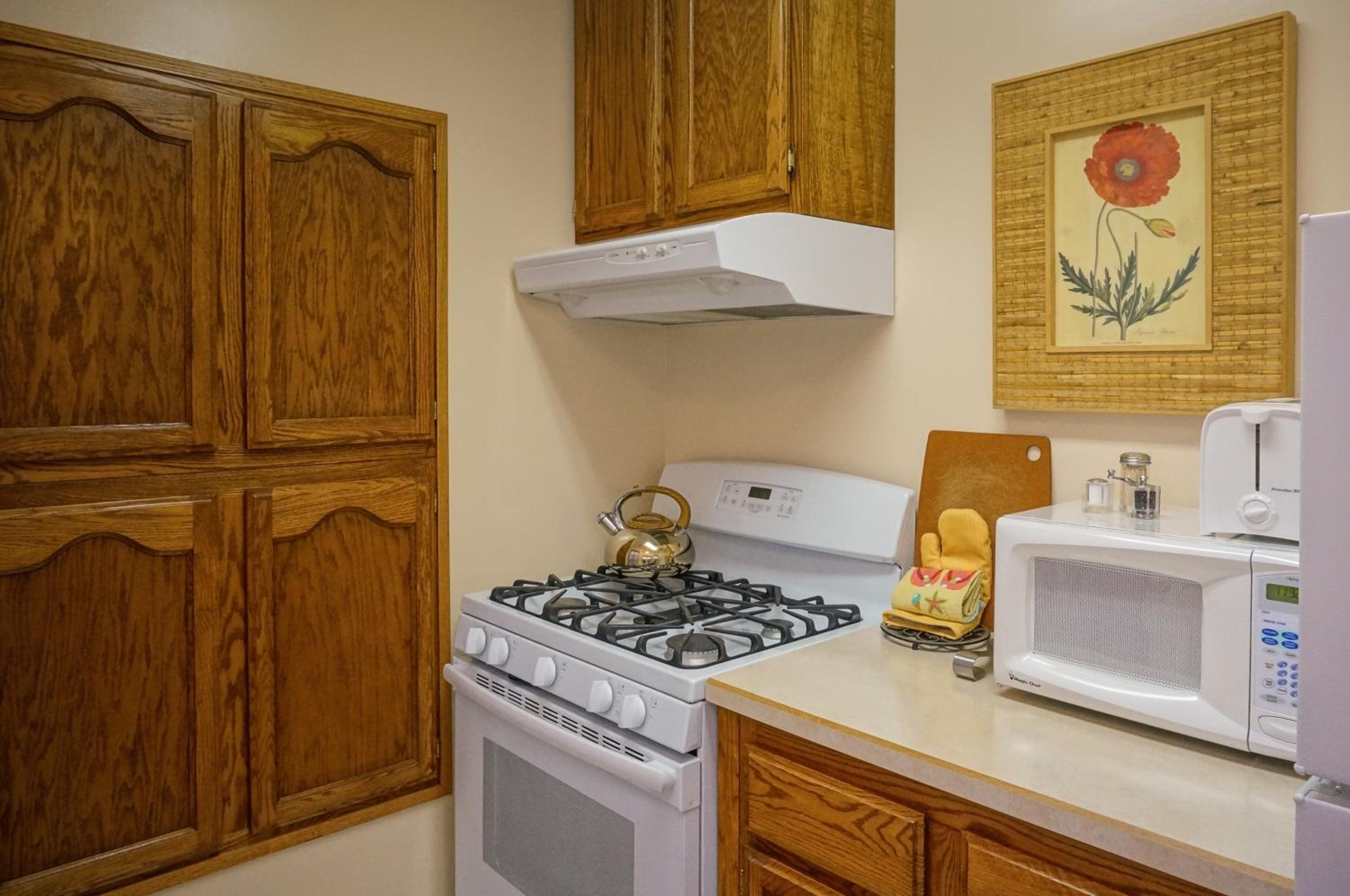 Deluxe King Studio with Kitchen - 118C - Photo 2