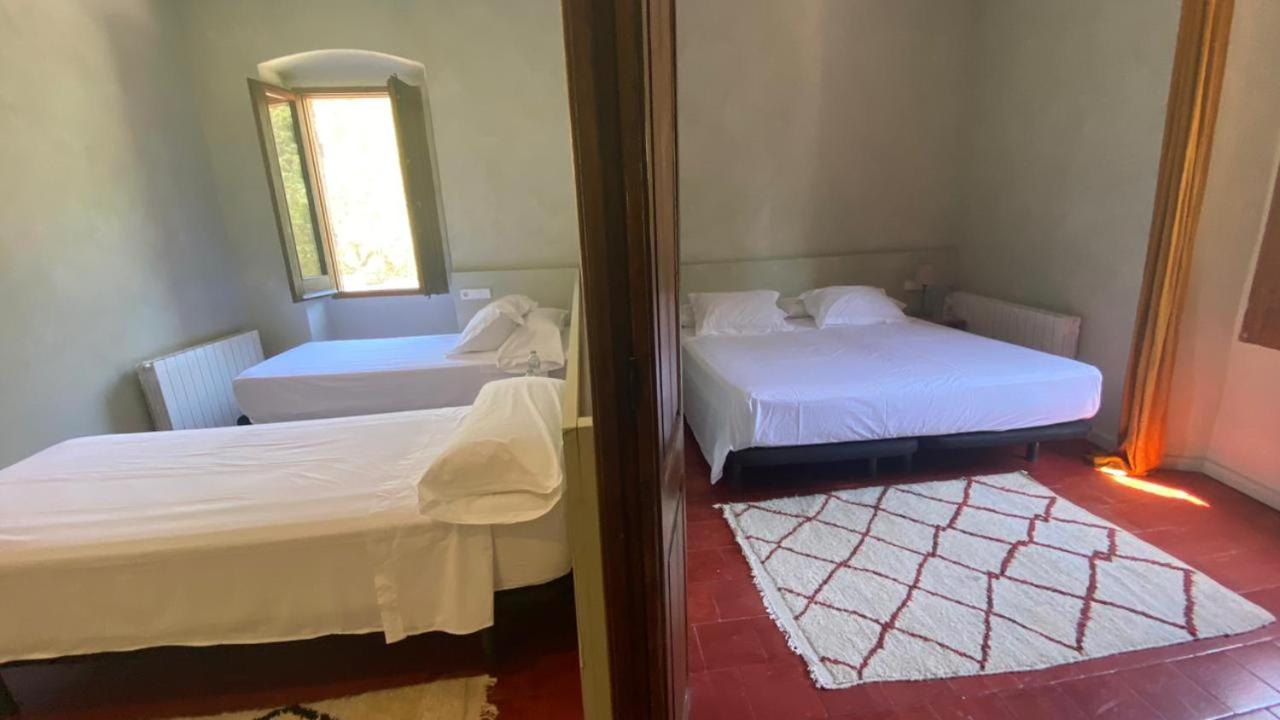 Comfort Quadruple Room - Photo 4