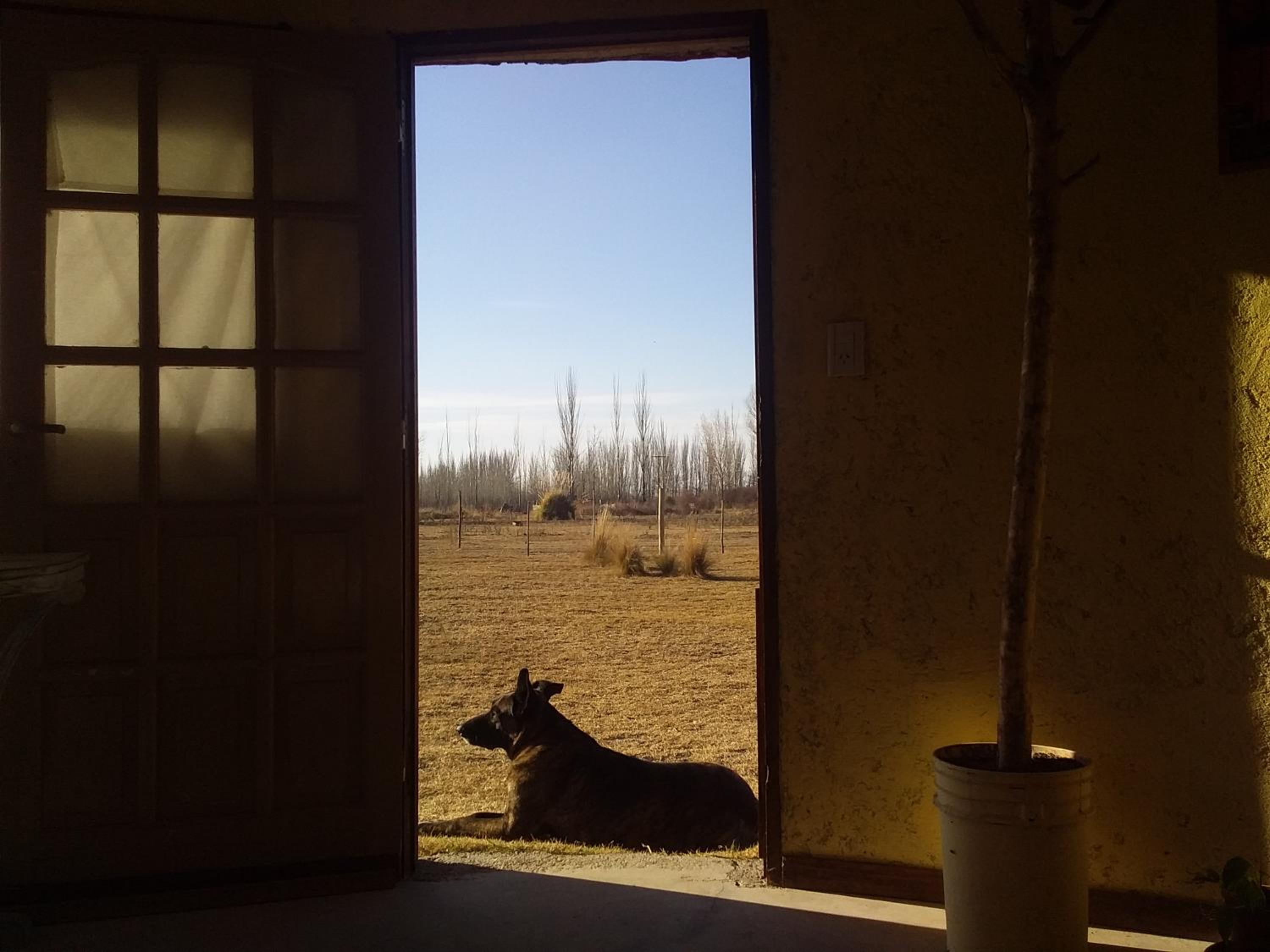 Double Room with Mountain View photo 3