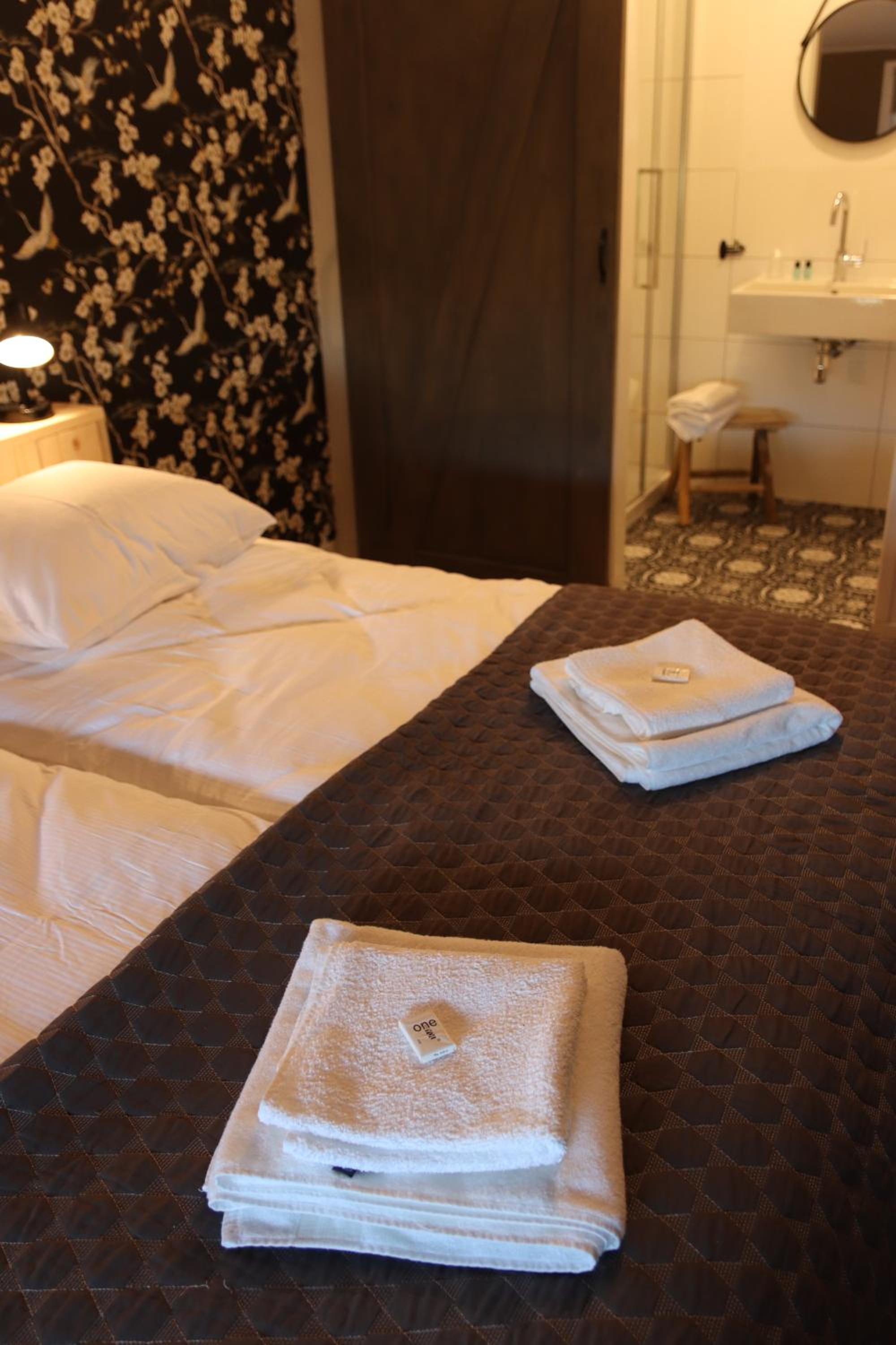 Deluxe Double or Twin Room photo 3