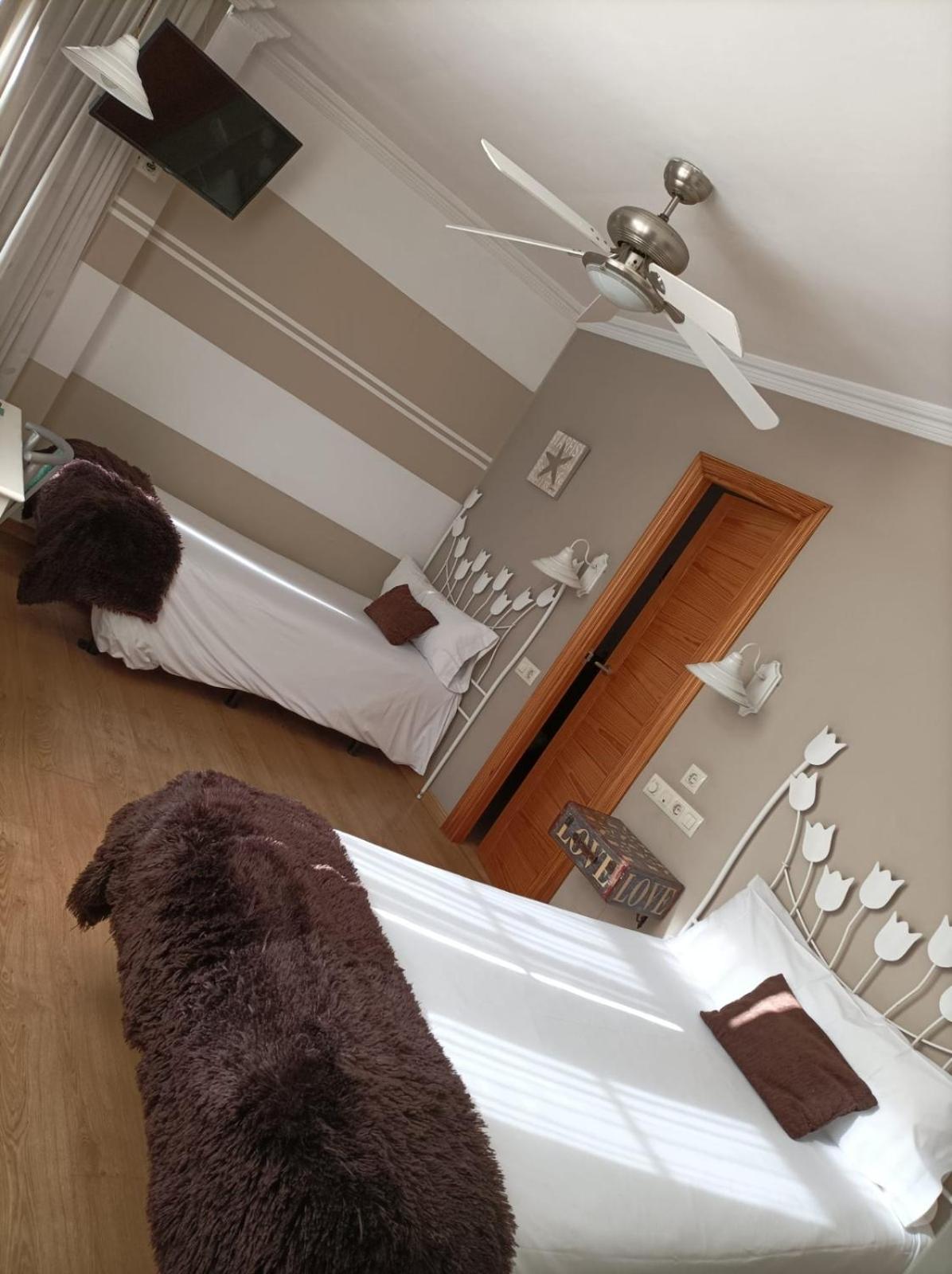 Superior Double or Twin Room photo 3