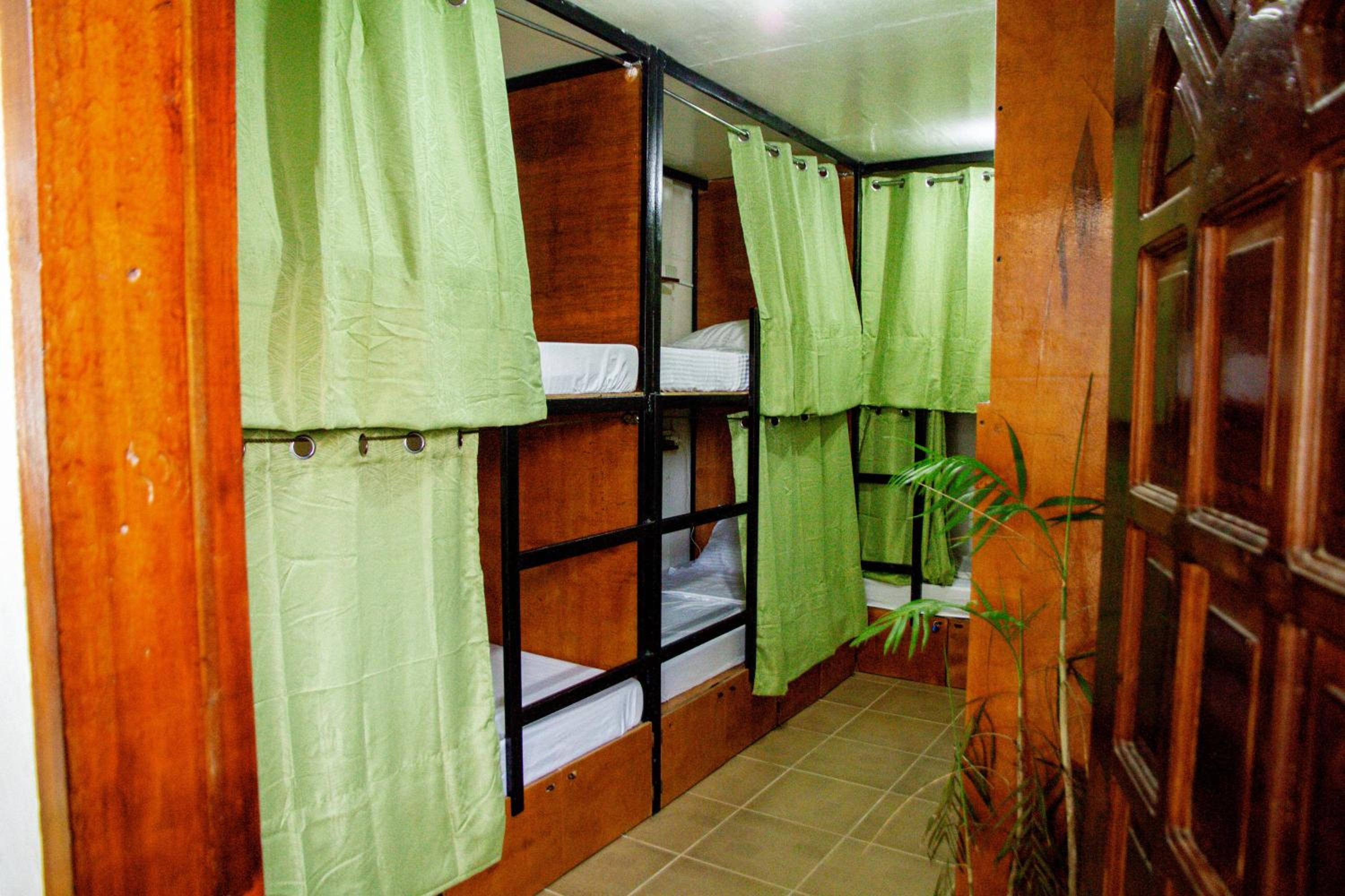 Bed in 8-Bed Mixed Dormitory Room photo 3