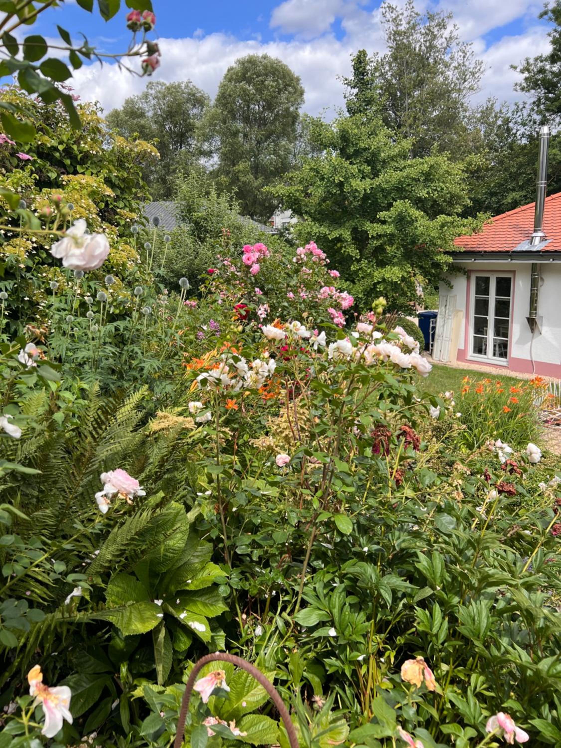 Double Room with Garden View photo 2