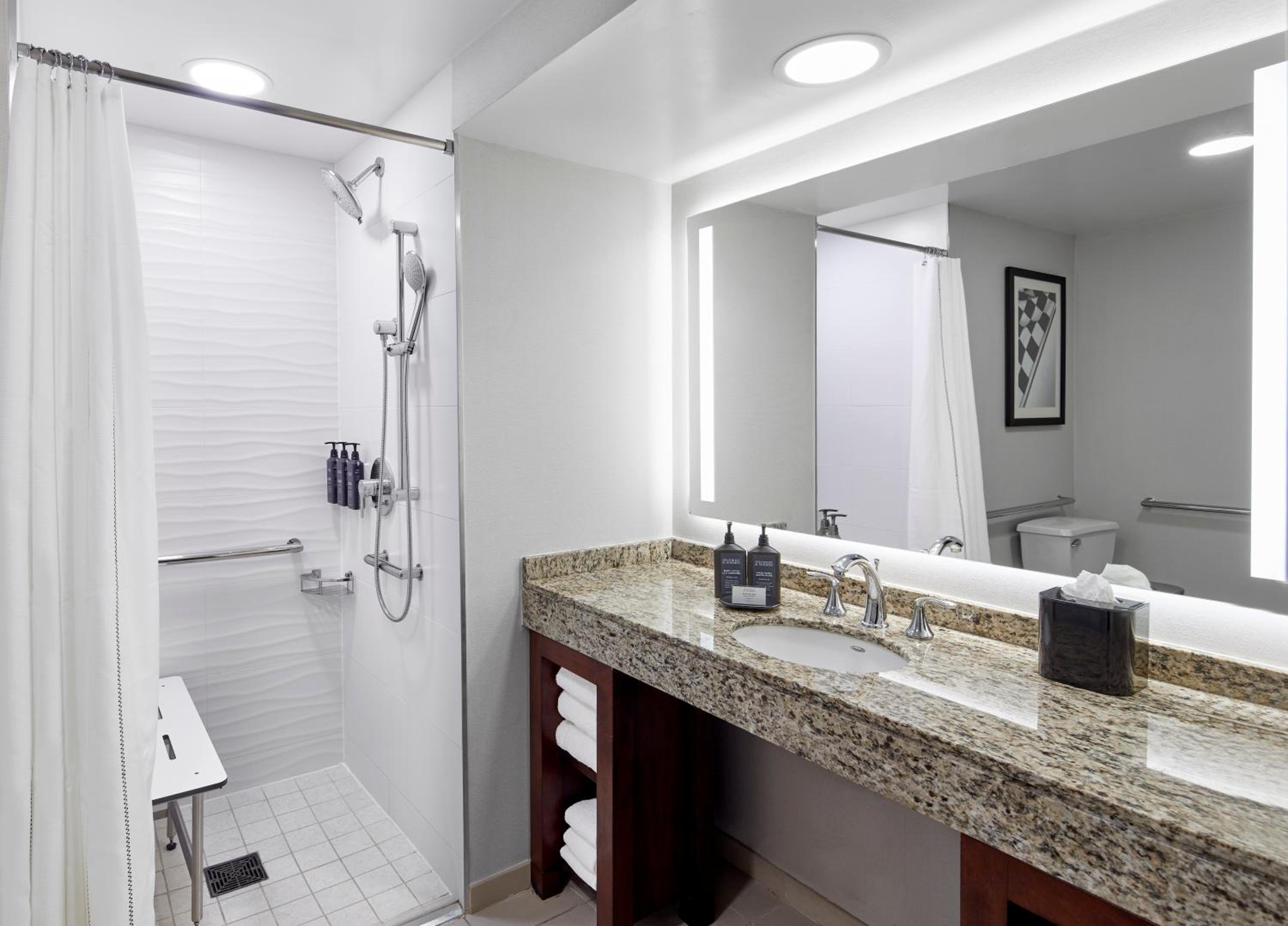Traditional King Room with Sofa Bed and Roll-in Shower - Mobility Accessible