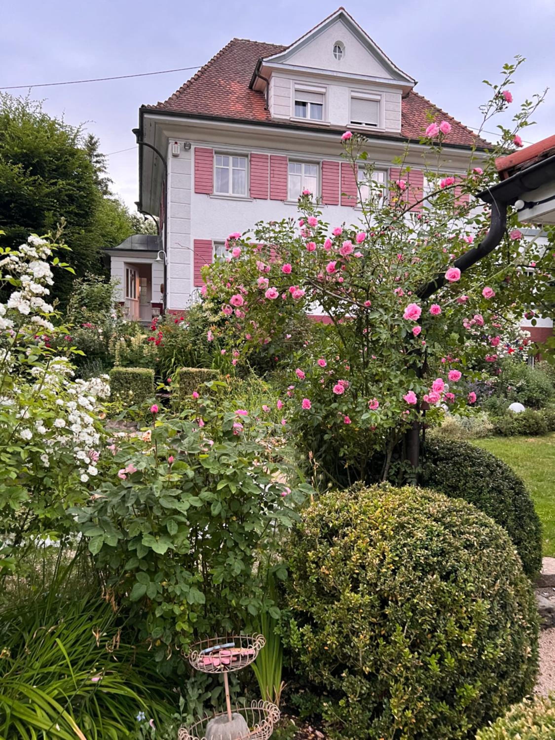 Double Room with Garden View photo 3