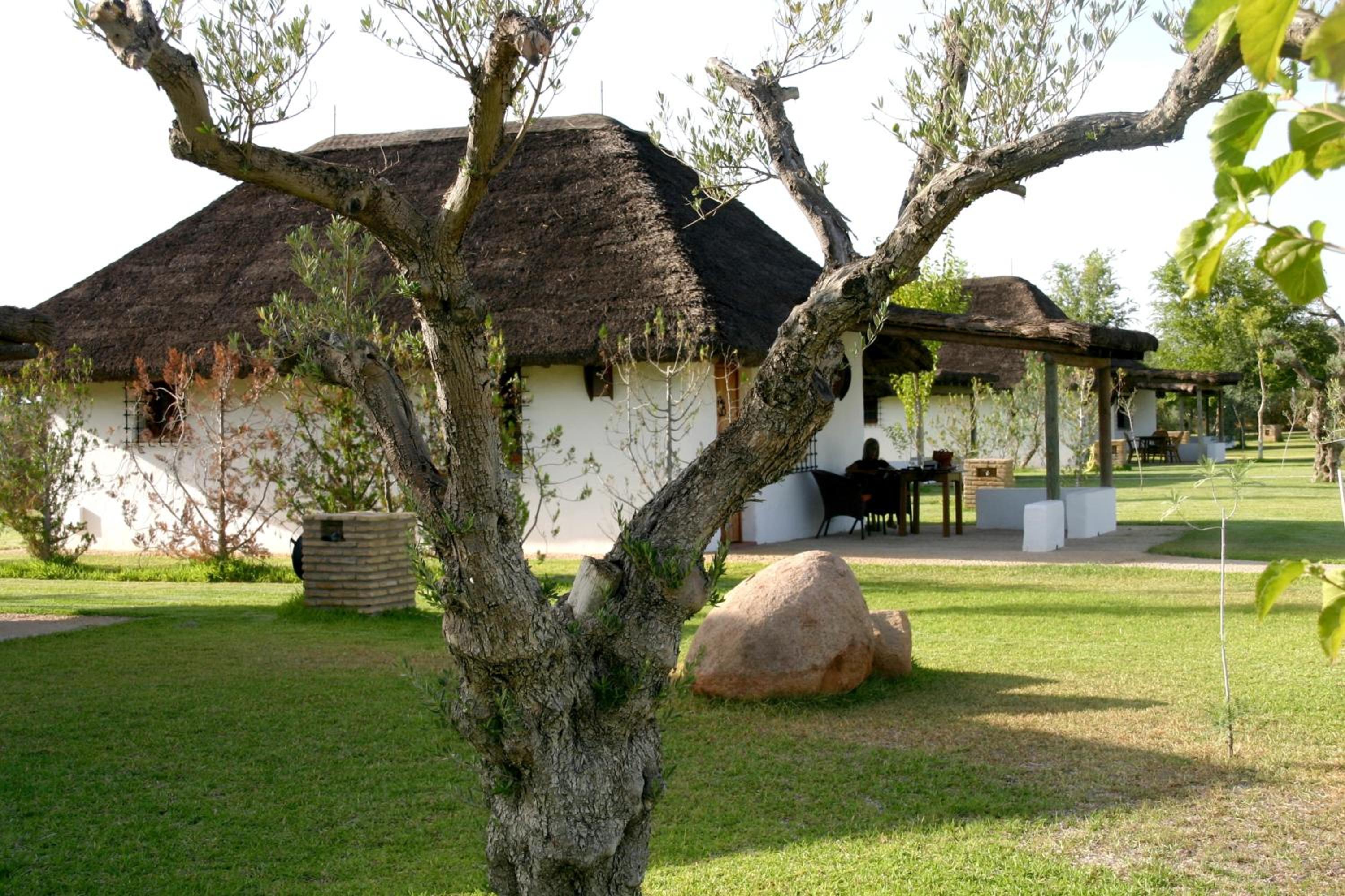 Bungalow - Photo 4