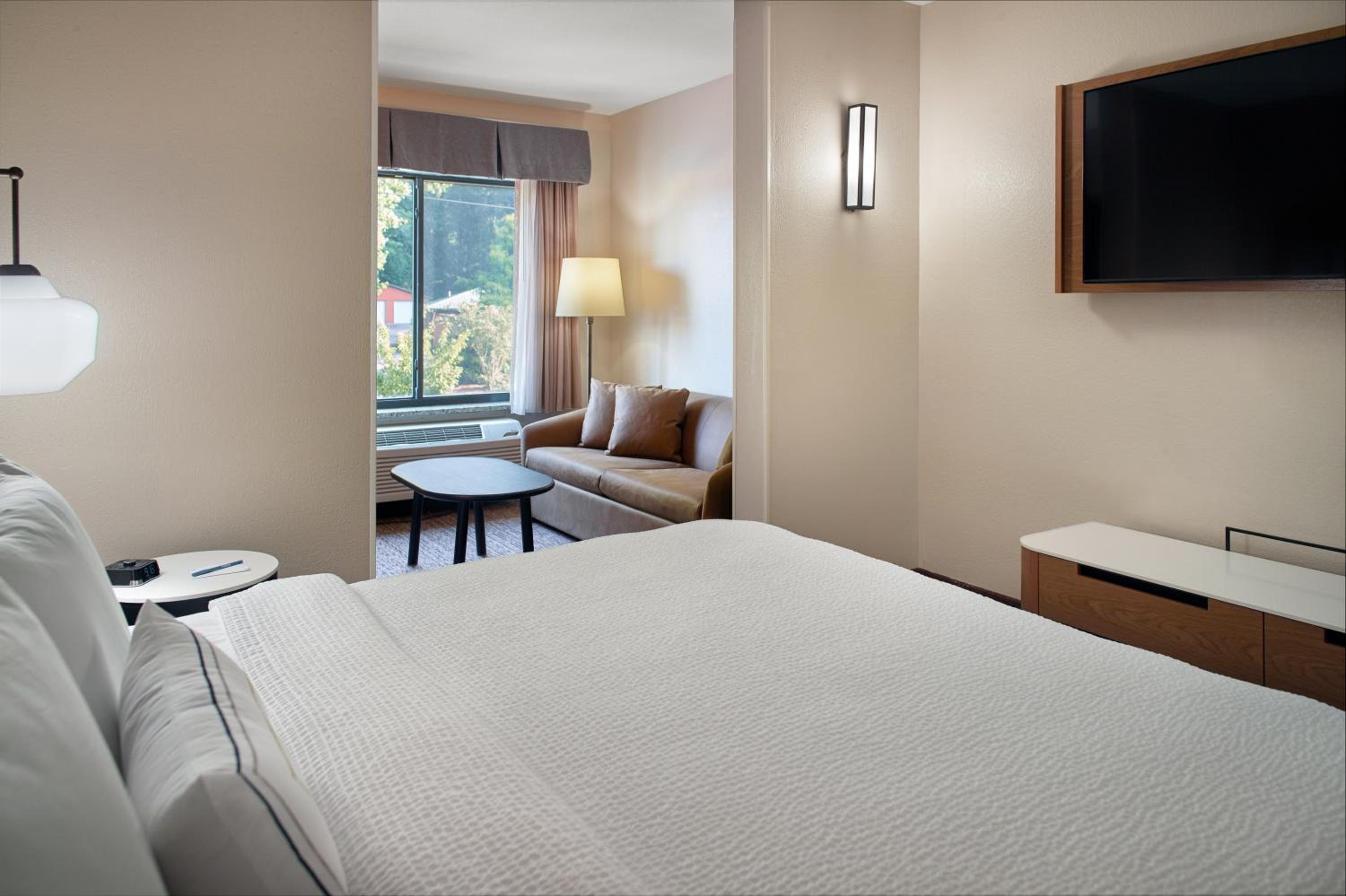 Suite, 1 King, Sofa bed