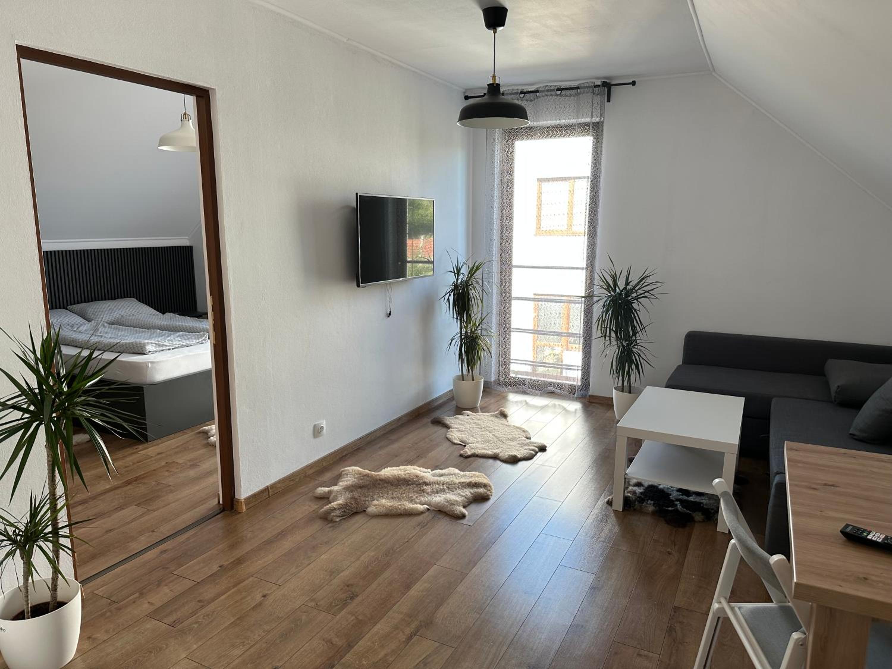 One-Bedroom Apartment photo 2