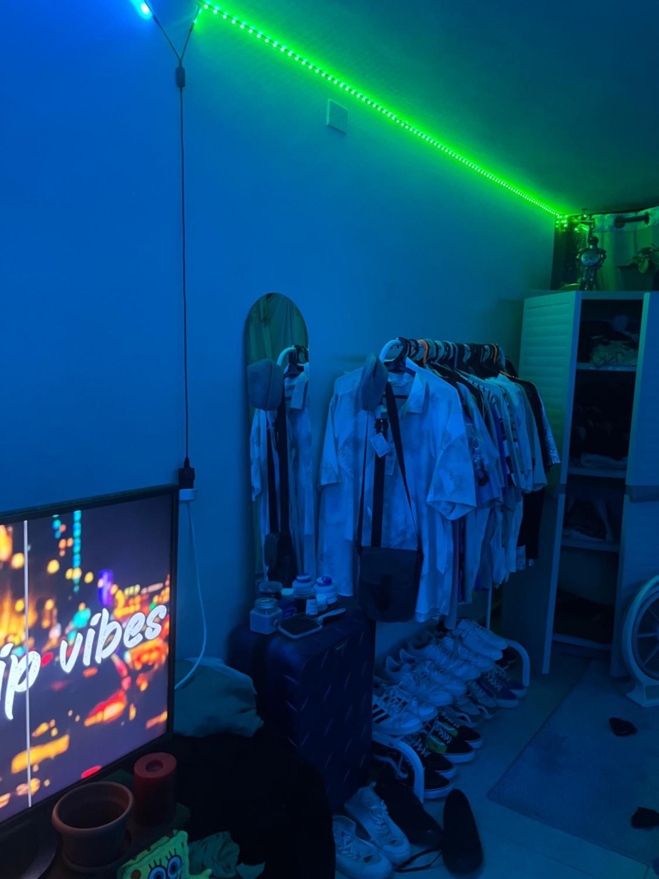 One-Bedroom Apartment photo 2