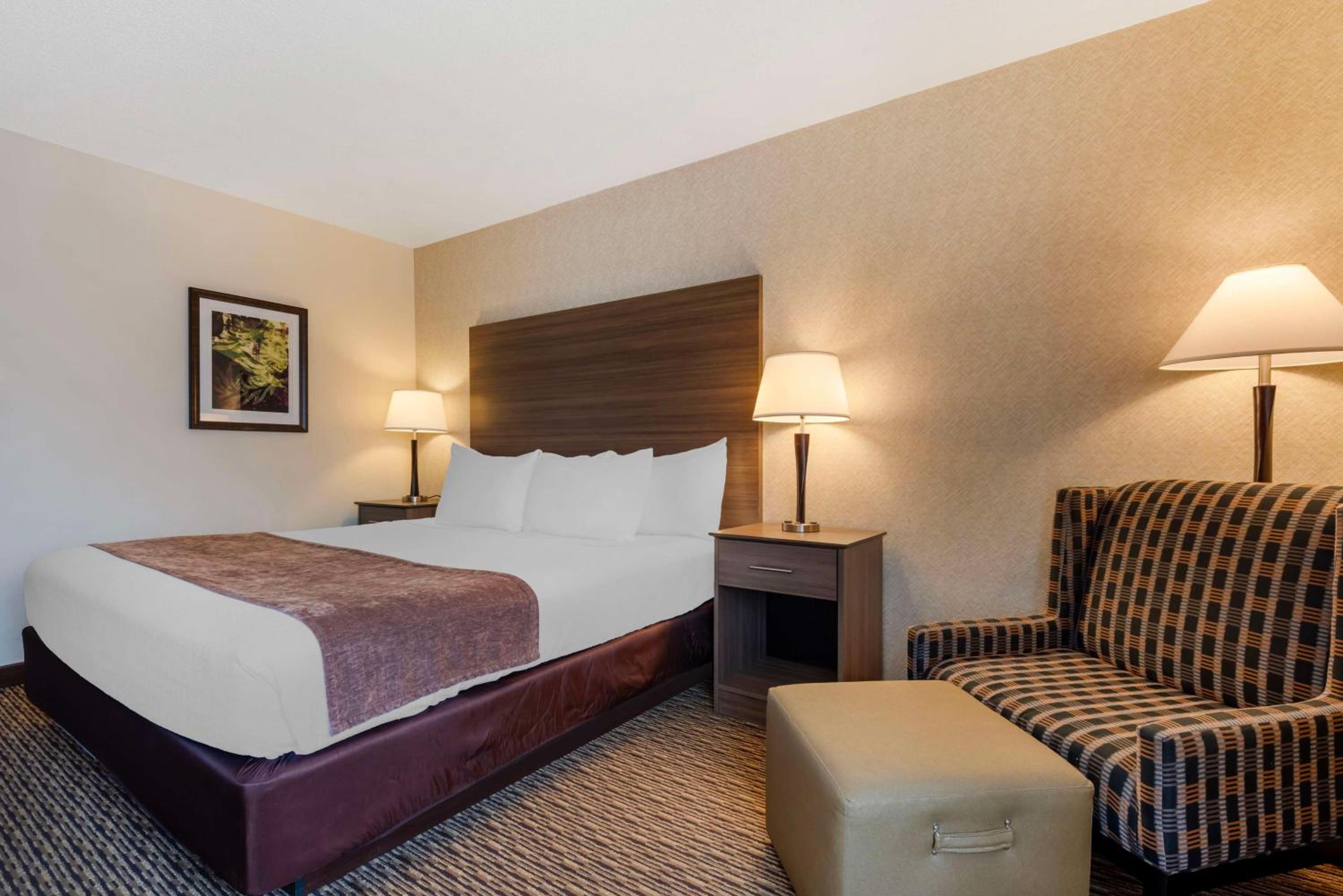 King Room with Bathtub - Disability Access/Pet Friendly photo 1
