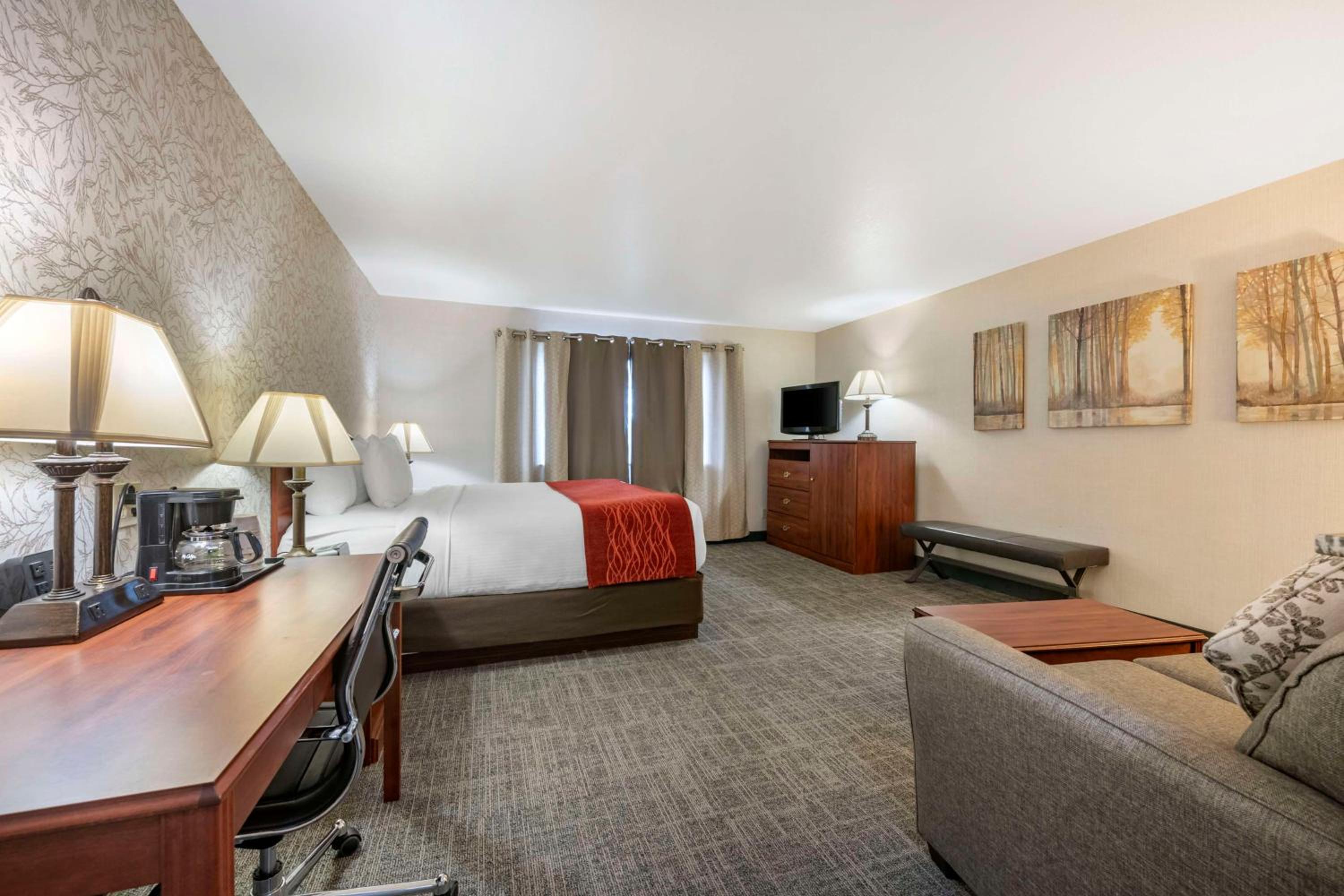 Large King Room - Non-Smoking - Photo 1