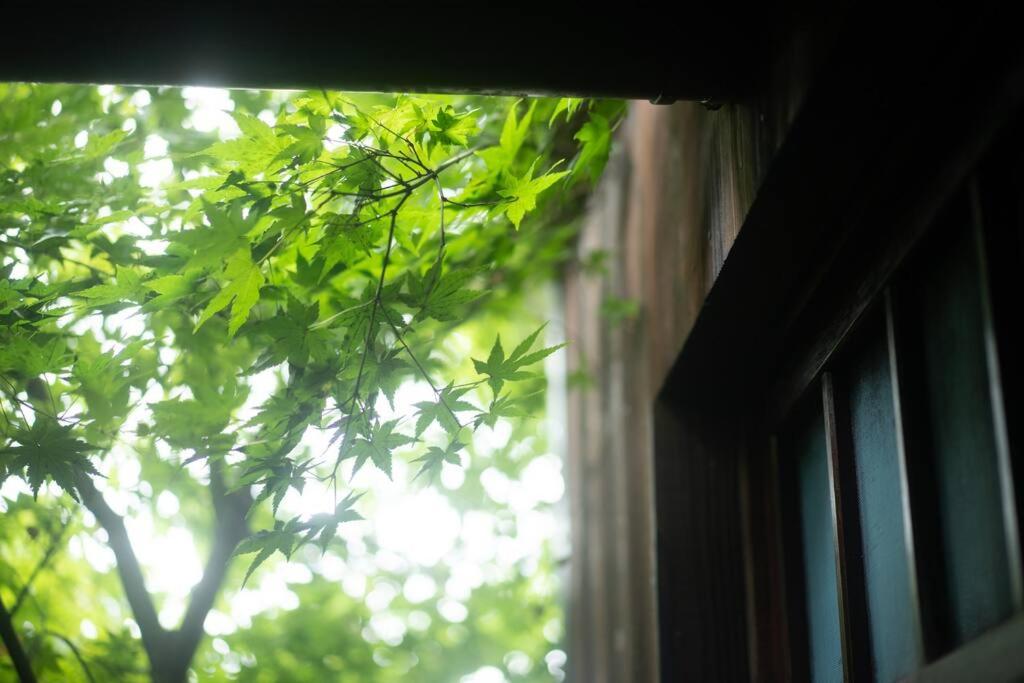 Chalet - Photo 2