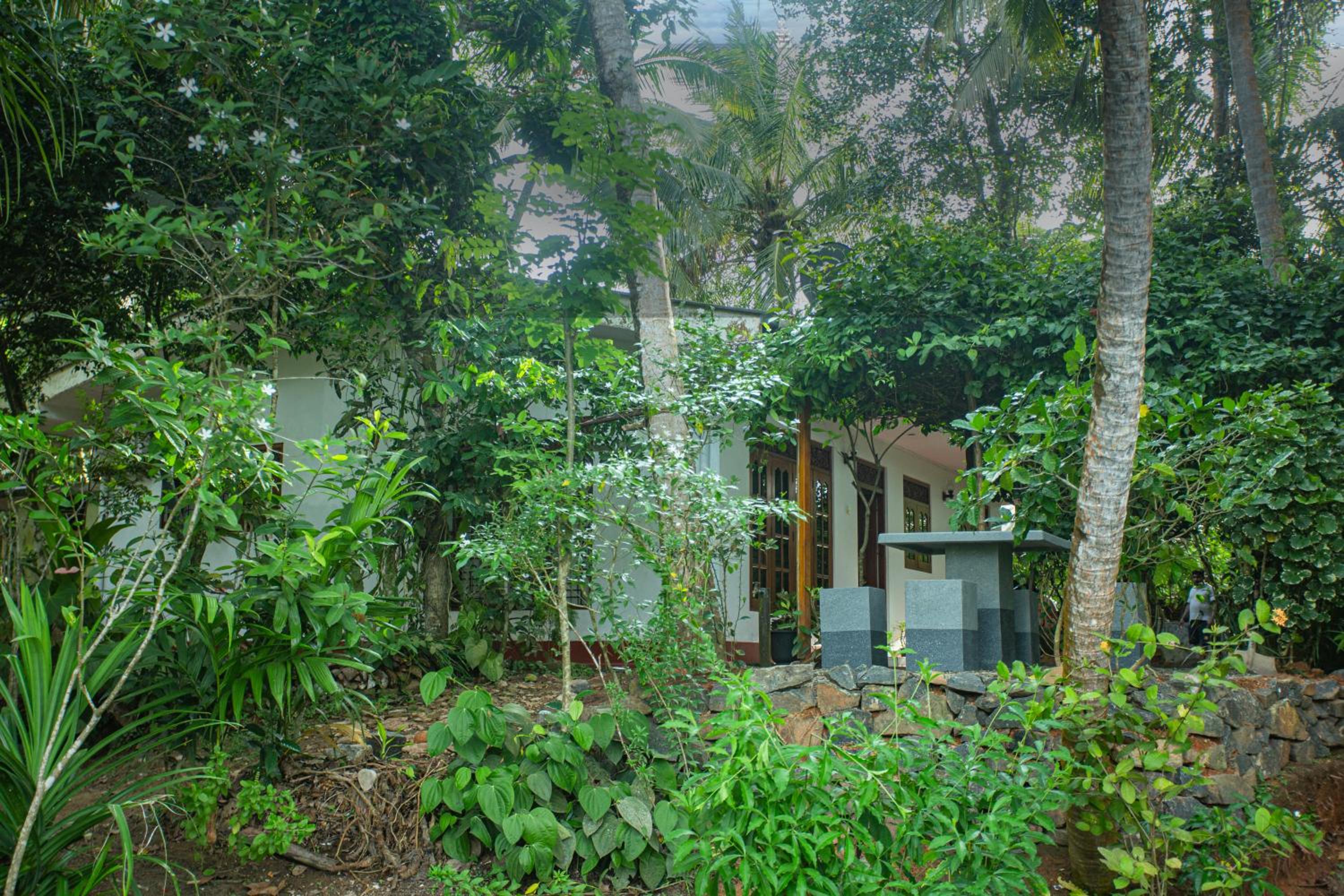 Three-Bedroom Villa photo 2