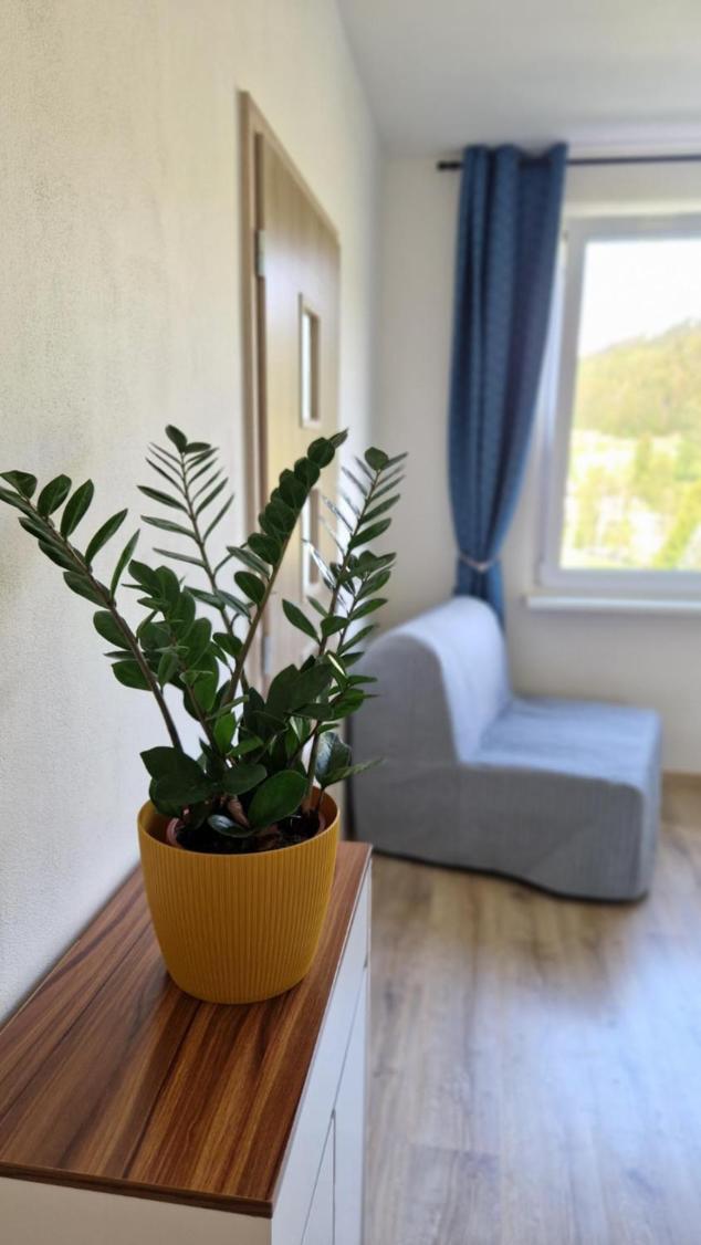 Apartment with Mountain View photo 2