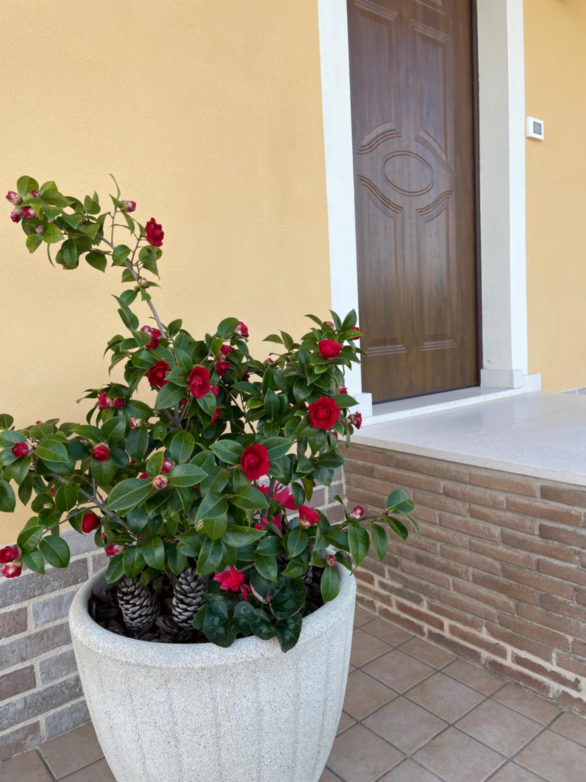 Two-Bedroom House - Photo 13