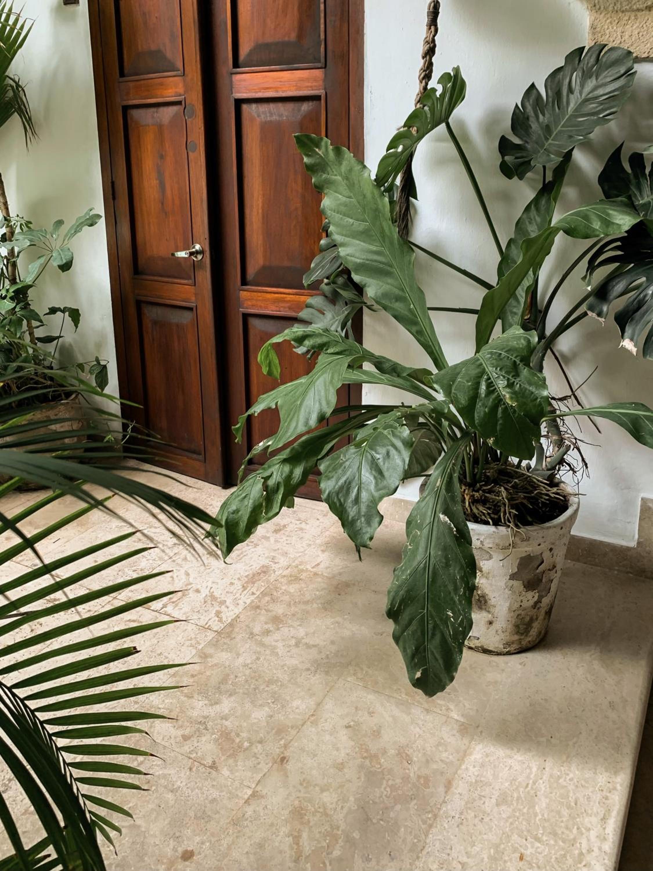 Superior Room - Photo 21
